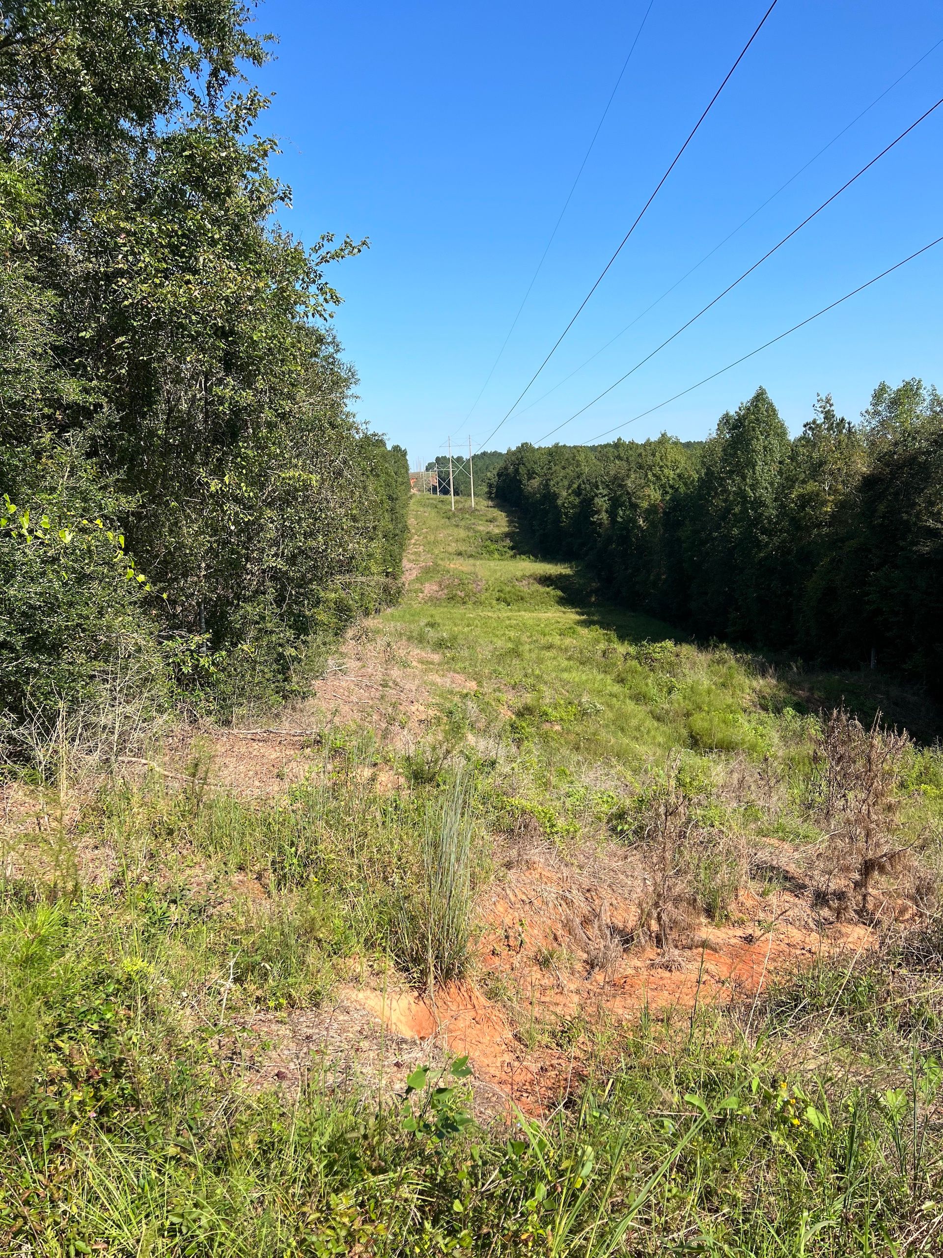 Springhill Church Road, LotWP001, Shubuta, MS 39360 LandWatch