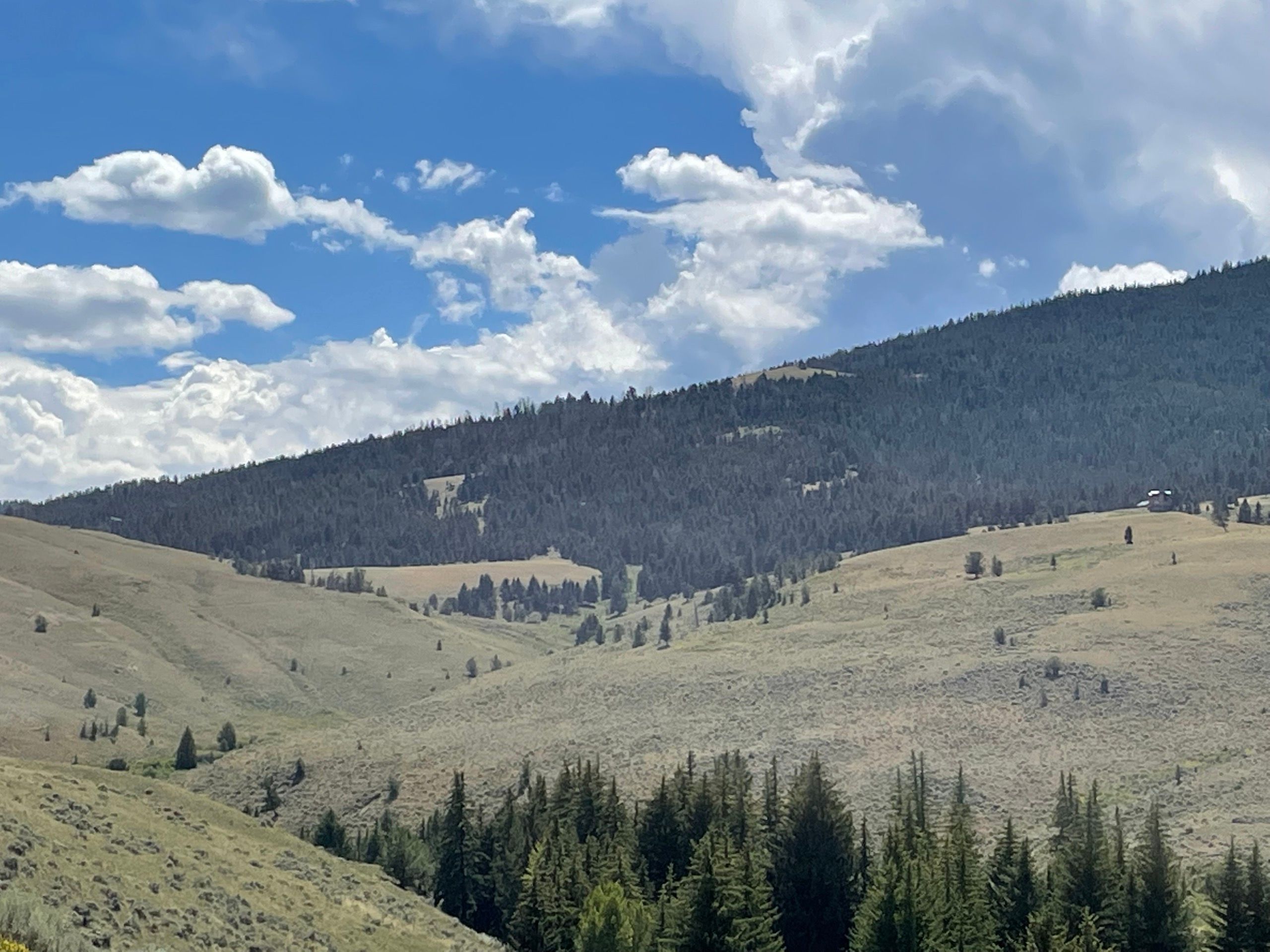 Dubois, Fremont County, WY Recreational Property, Hunting Property for