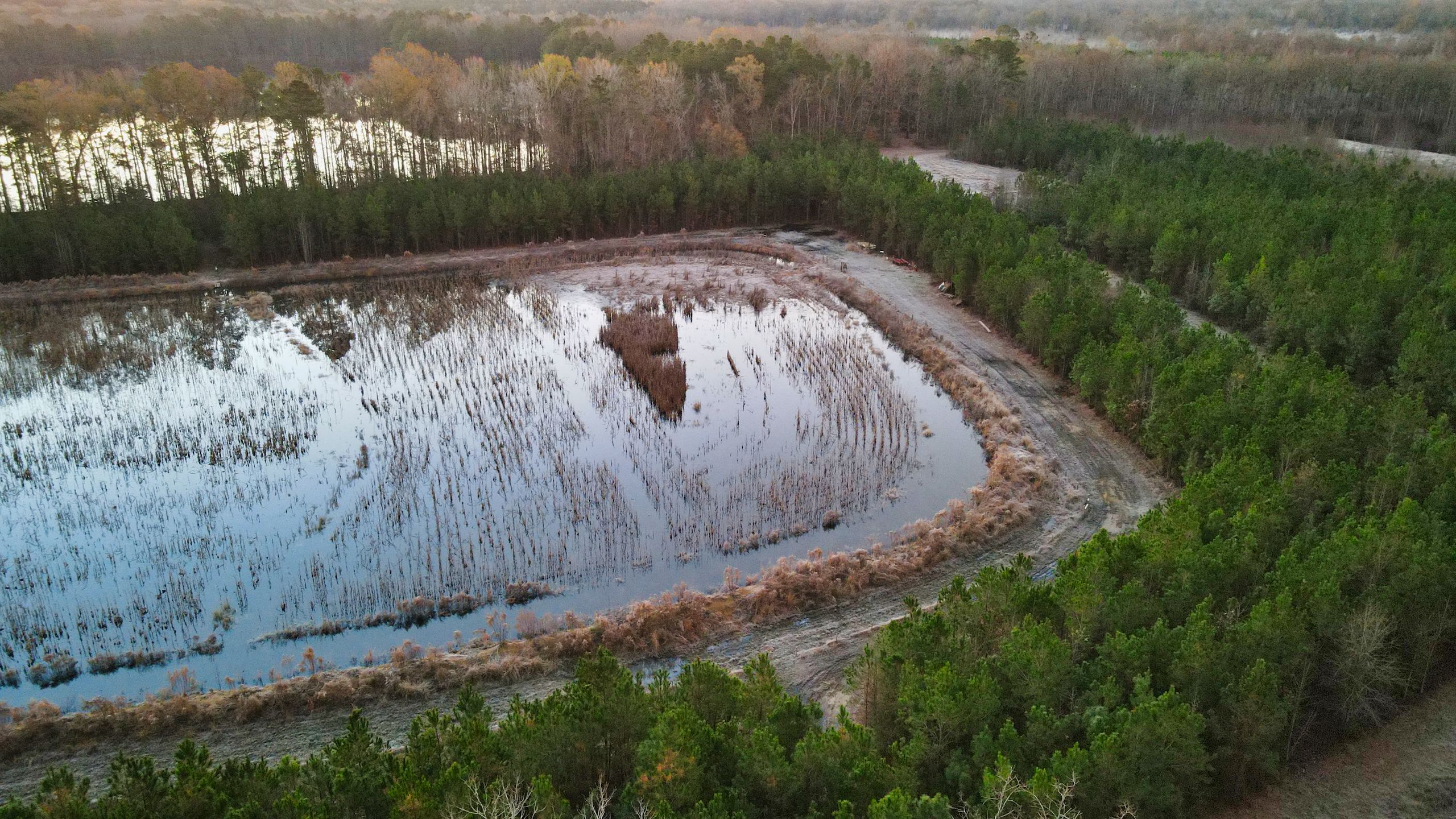 Rogers Lake Road, LotWP001, Latta, SC 29565 LandWatch