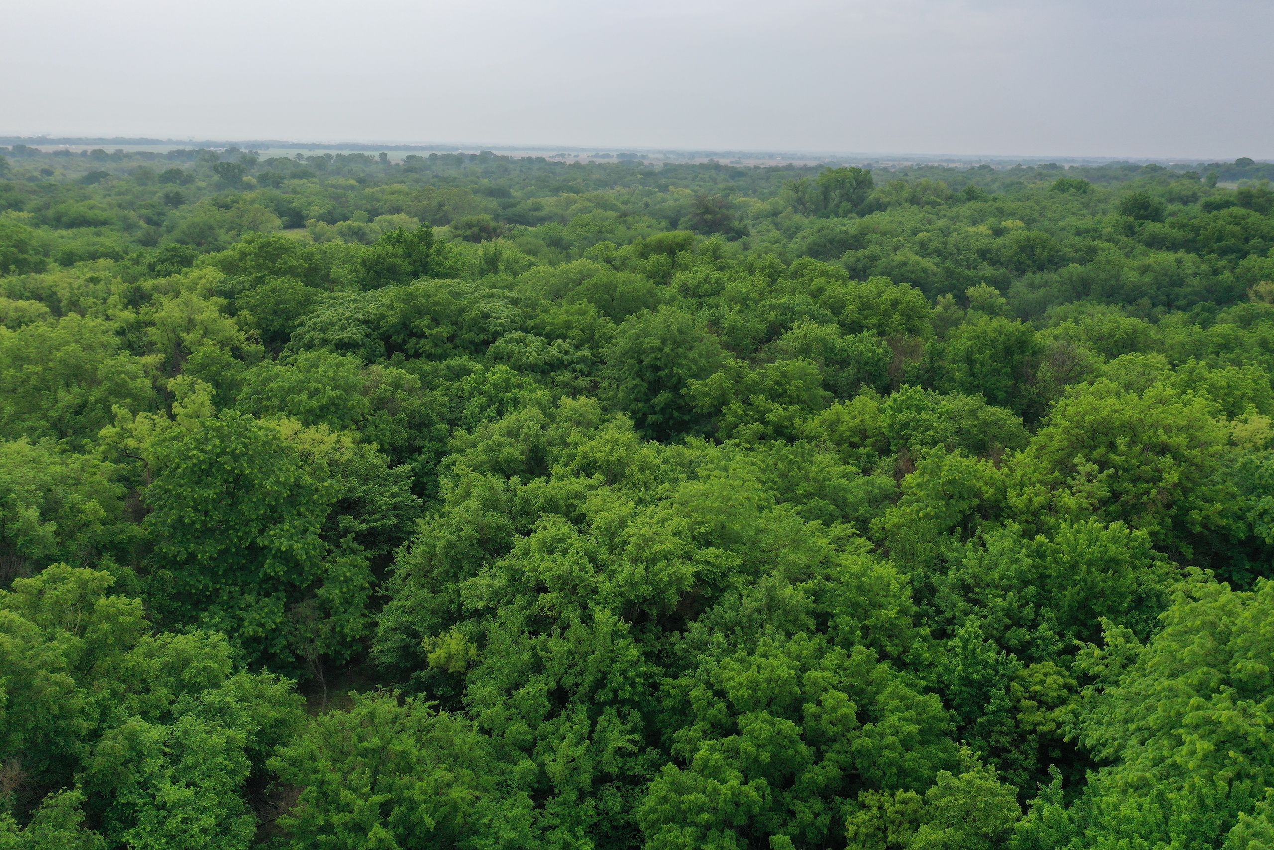 Byron, Alfalfa County, OK Recreational Property, Timberland Property, Hunting Property for sale