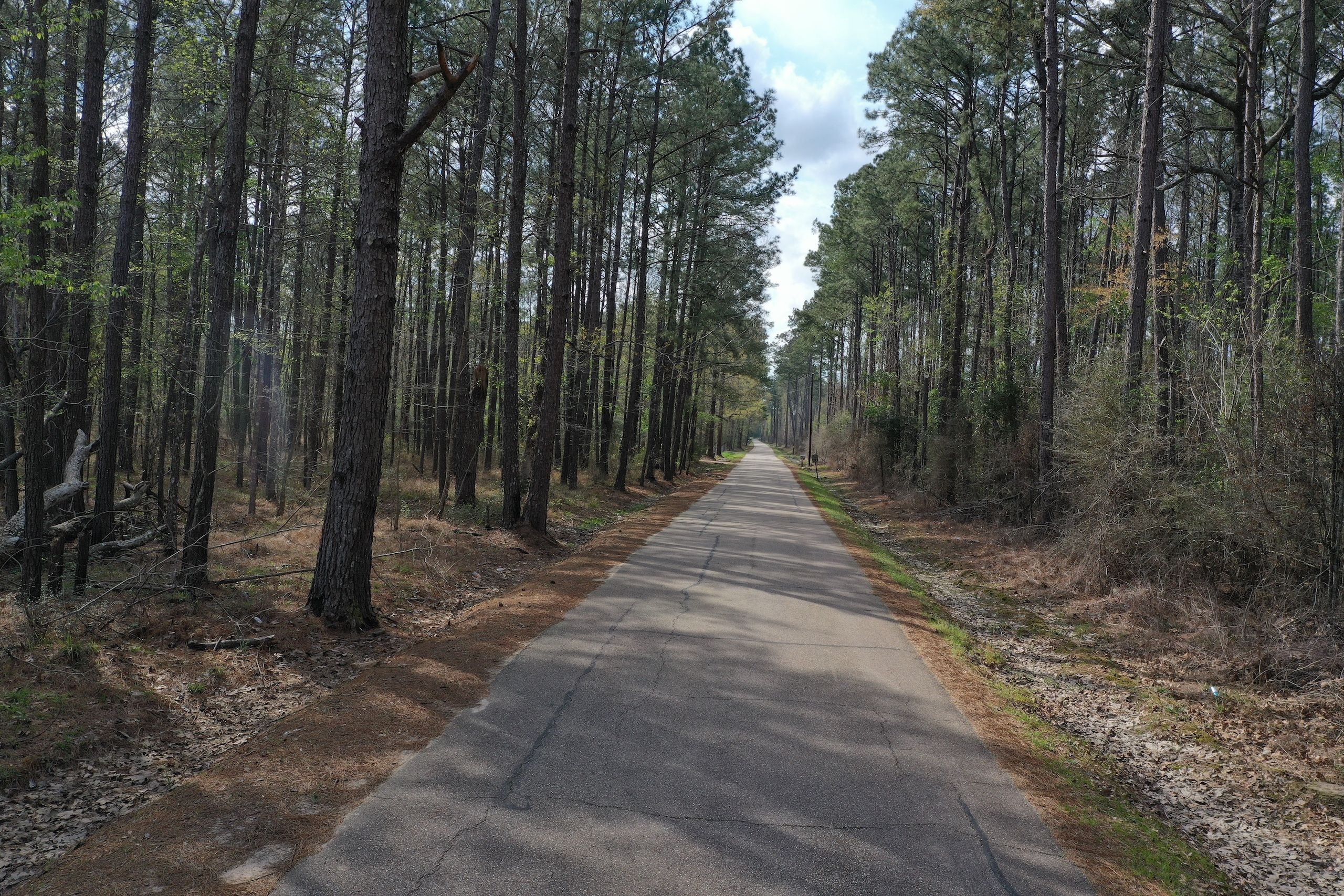 Independence, Livingston Parish, LA Recreational Property, Timberland Property, Hunting Property