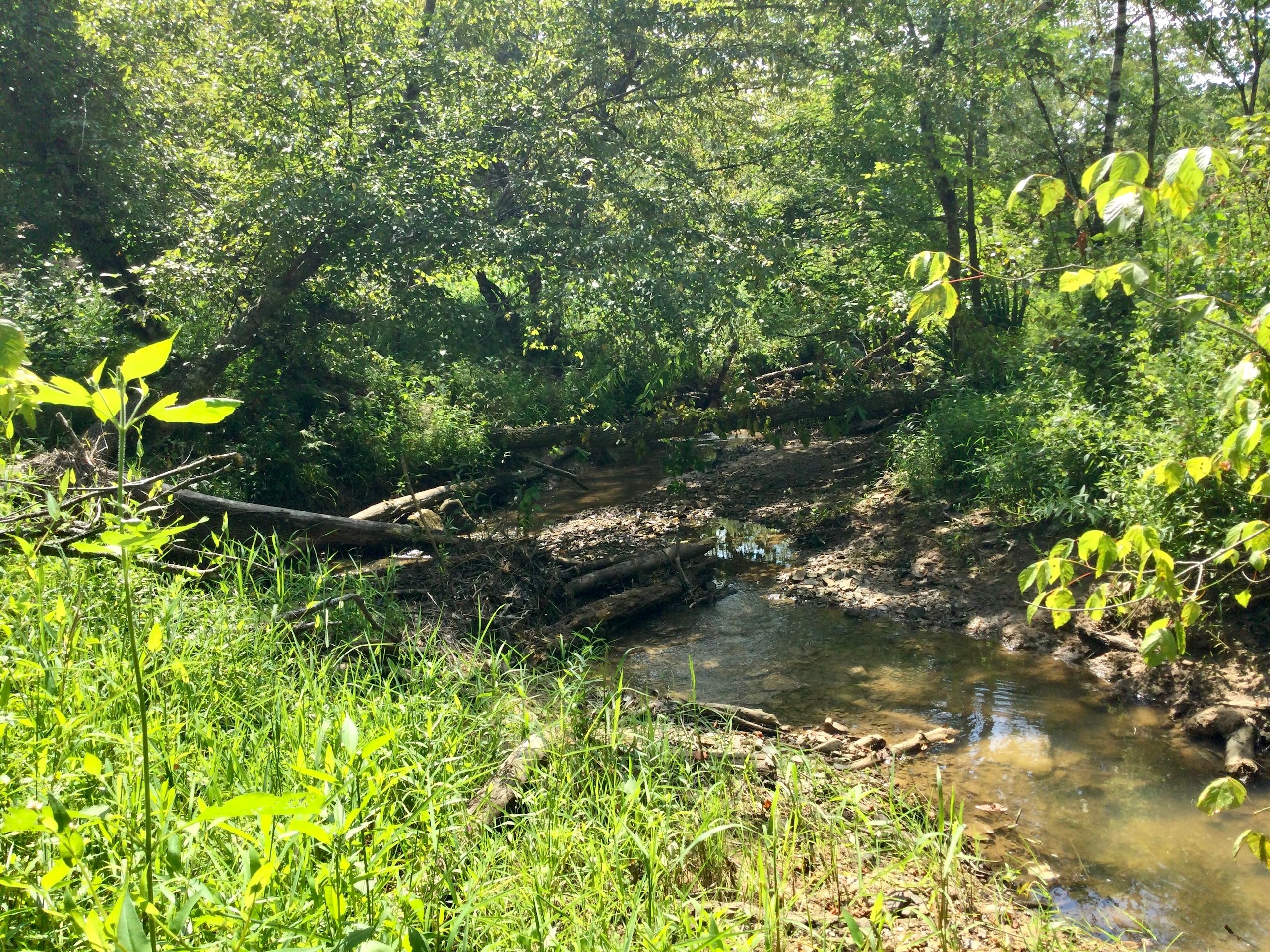 TBD Snake Hollow Rd, LotWP002, Sneedville, TN 37869 LandWatch