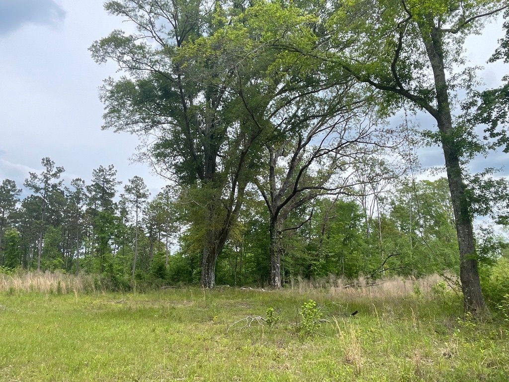 Union Church Road, Meadville, MS 39668 LandWatch