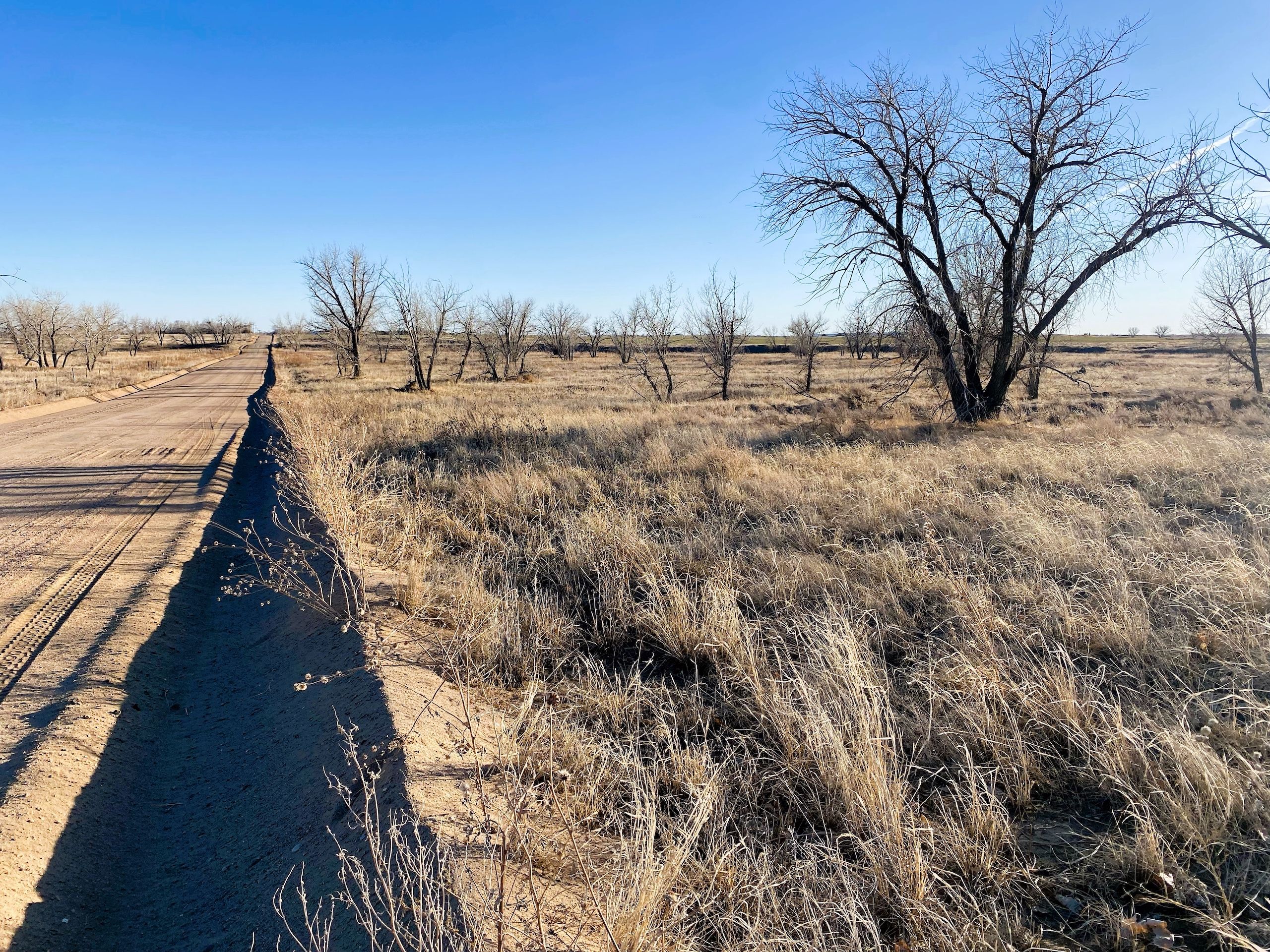 County Road 8, LotWP001, Wiggins, CO 80654 LandWatch