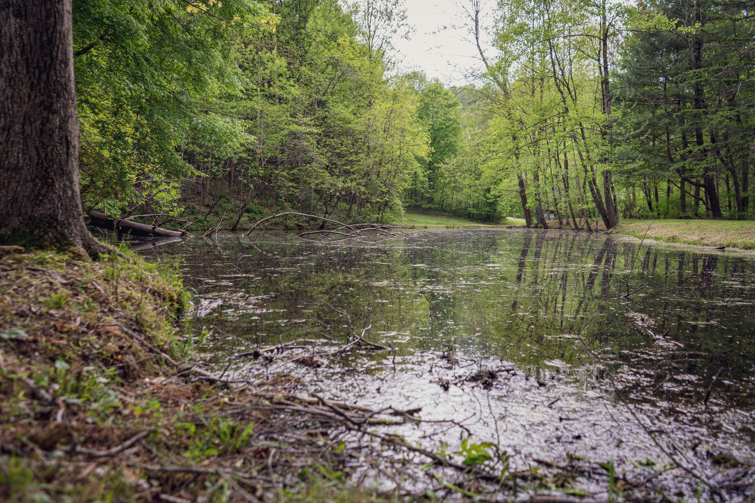 Flemington, Taylor County, WV Hunting Property, Riverfront Property, Waterfront Property for