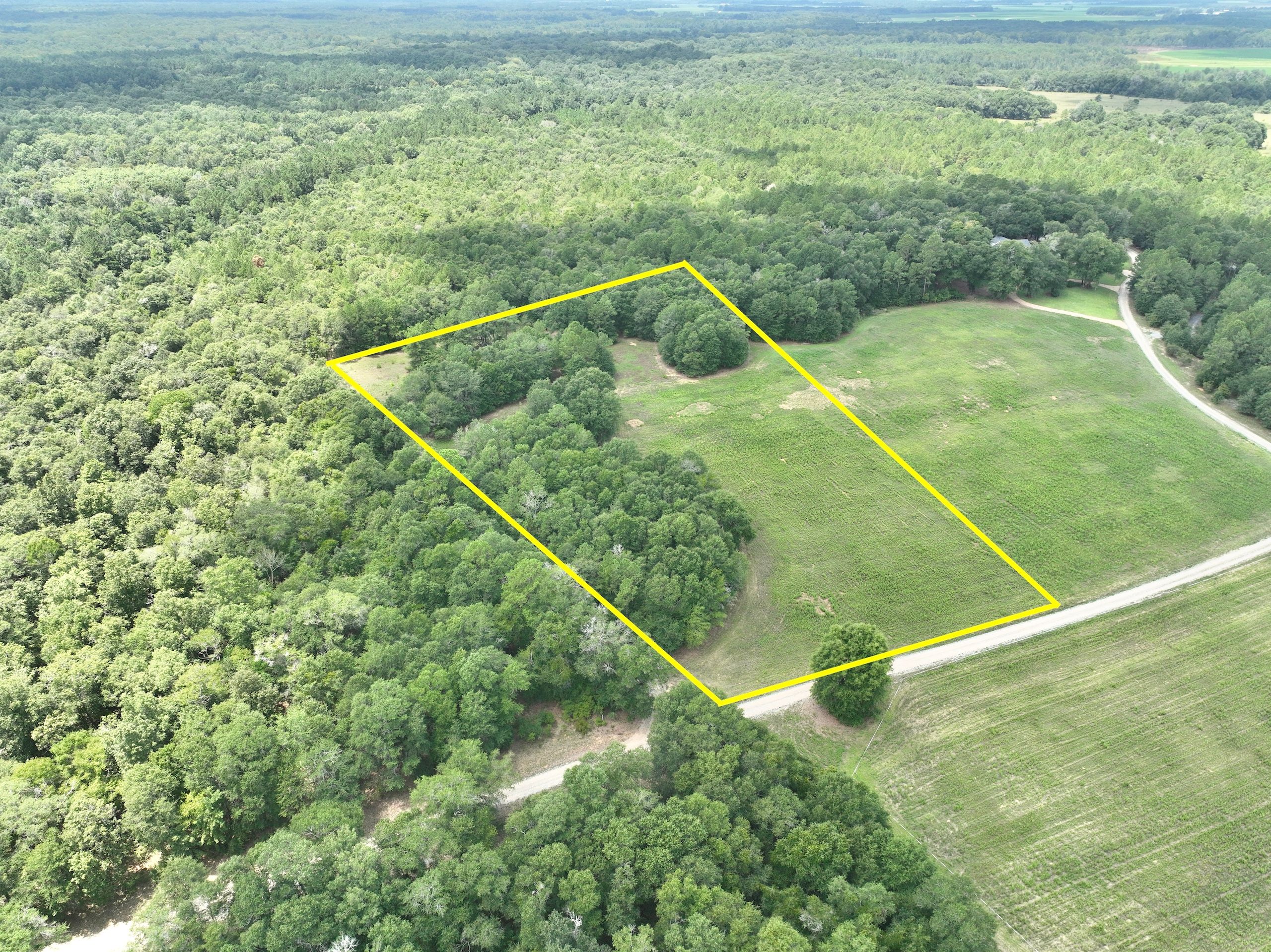 Hawkinsville, Pulaski County, GA Recreational Property, Timberland