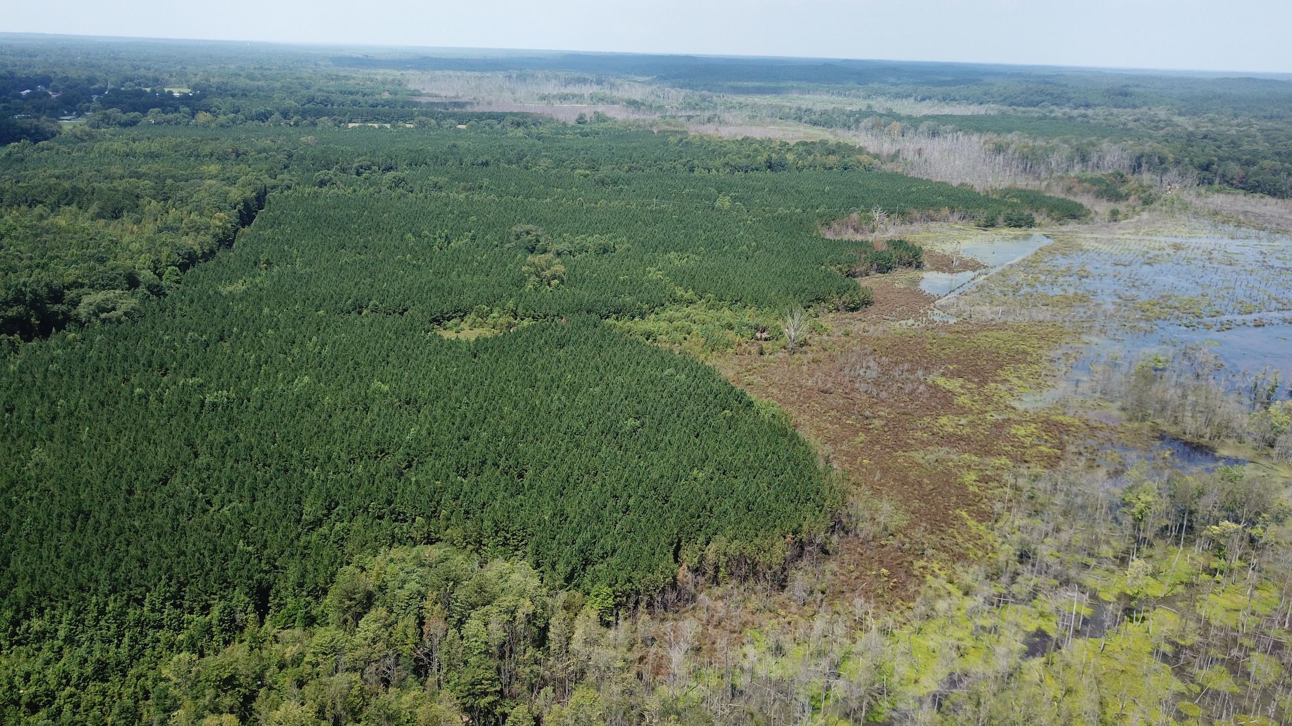 0 Savage St., LotWP001, Millport, AL 35576 LandWatch