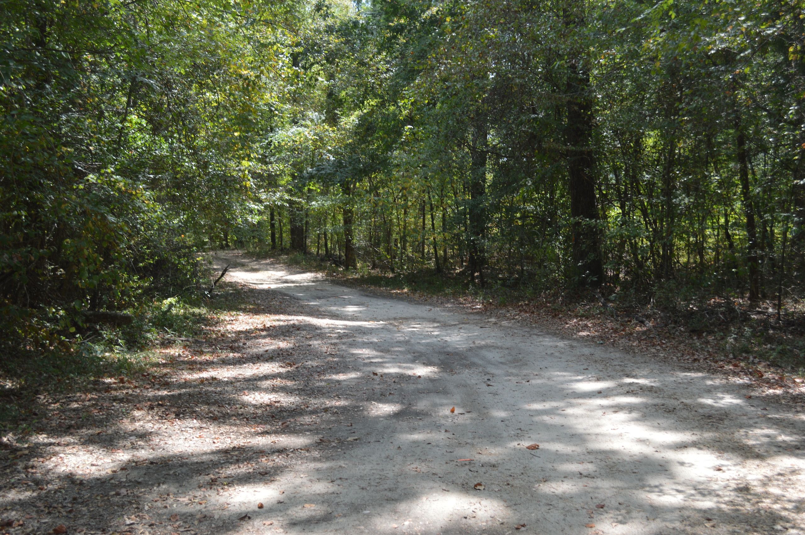 Olla, La Salle Parish, LA Recreational Property, Timberland Property