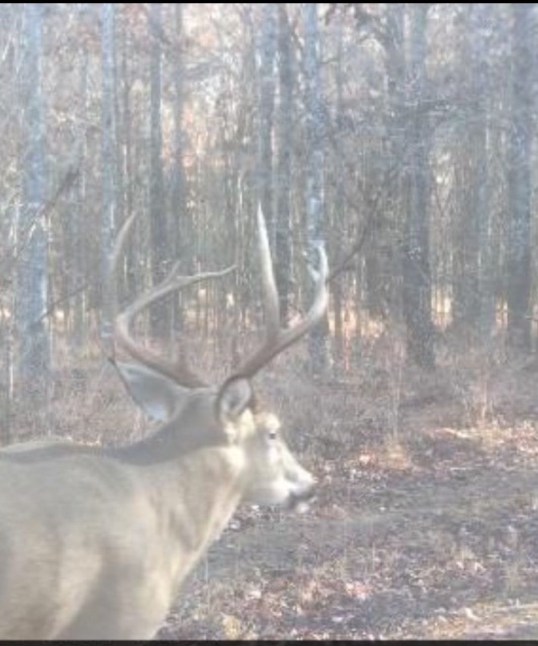 Armfield Road Lot Wp008, Oak Grove, LA 71263 LandWatch