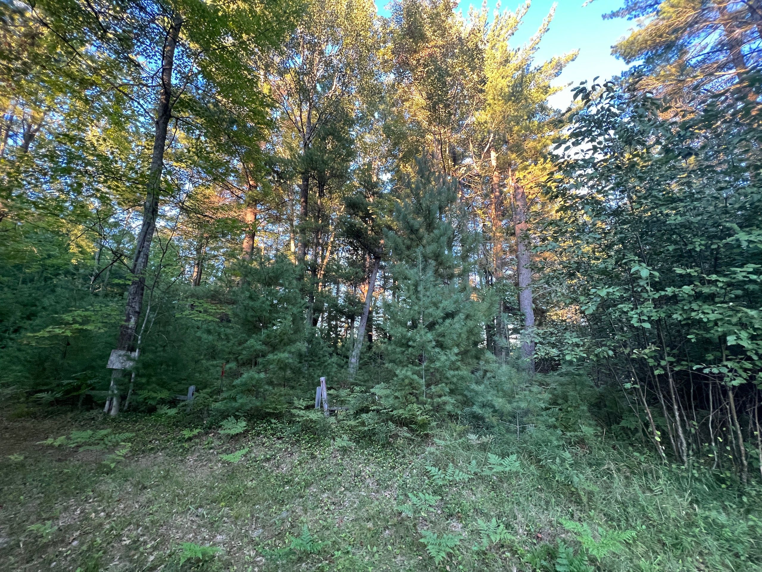 Prudenville, County, MI Recreational Property, Hunting