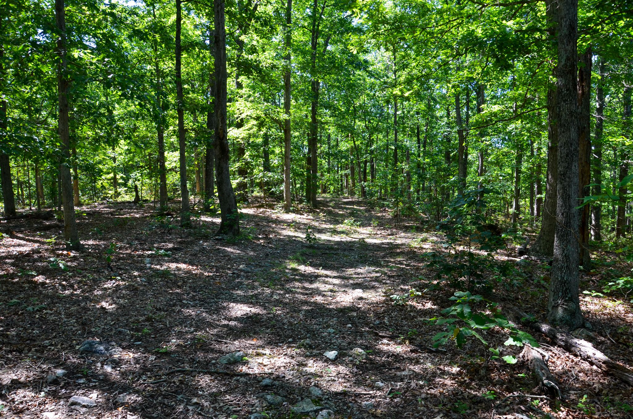 30050 Richland Road, Annapolis, MO 63620 LandWatch