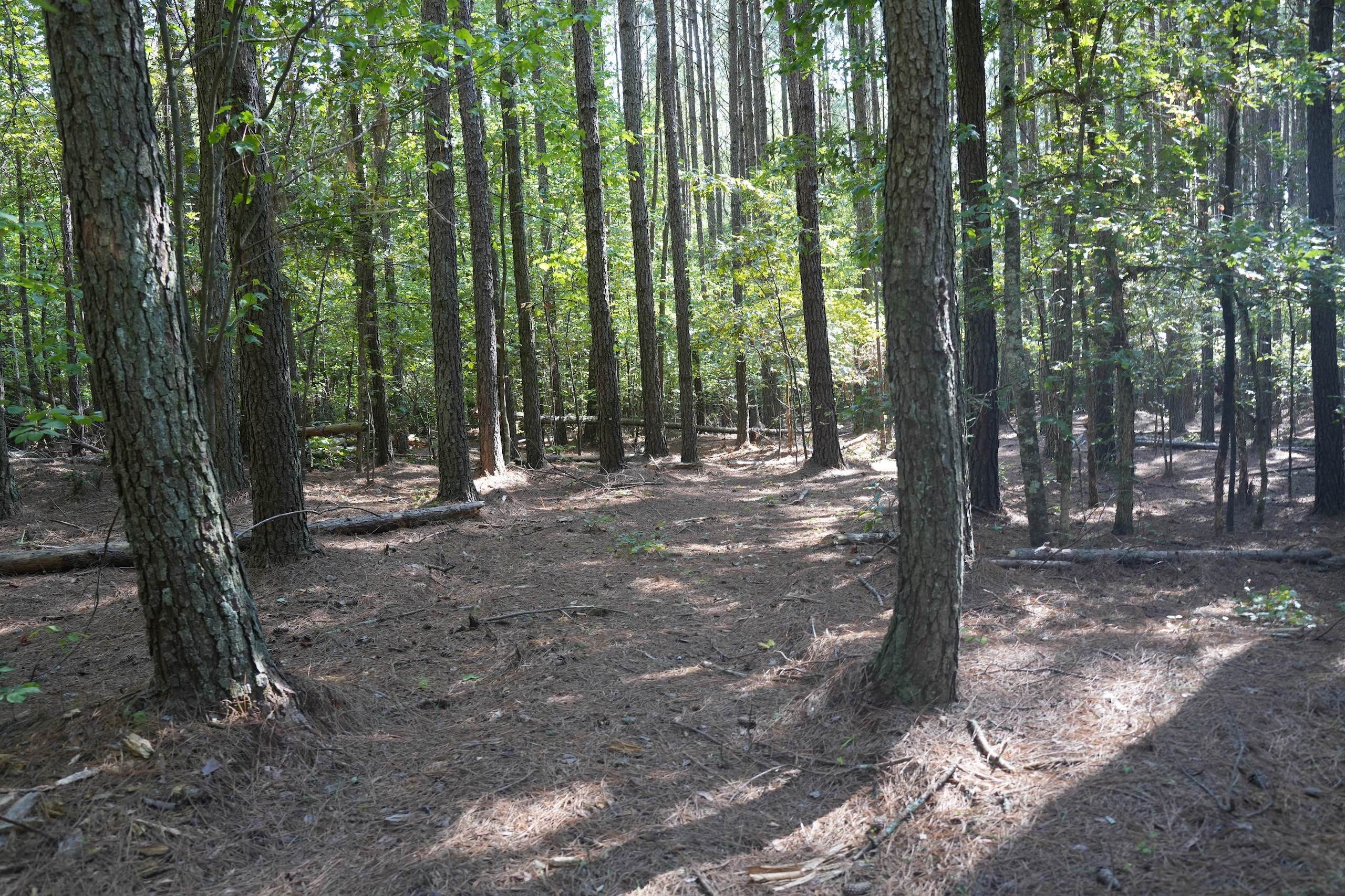 CasarBelwood Road, Lot F, Lawndale, NC 28090 MLS 4070512 LandWatch