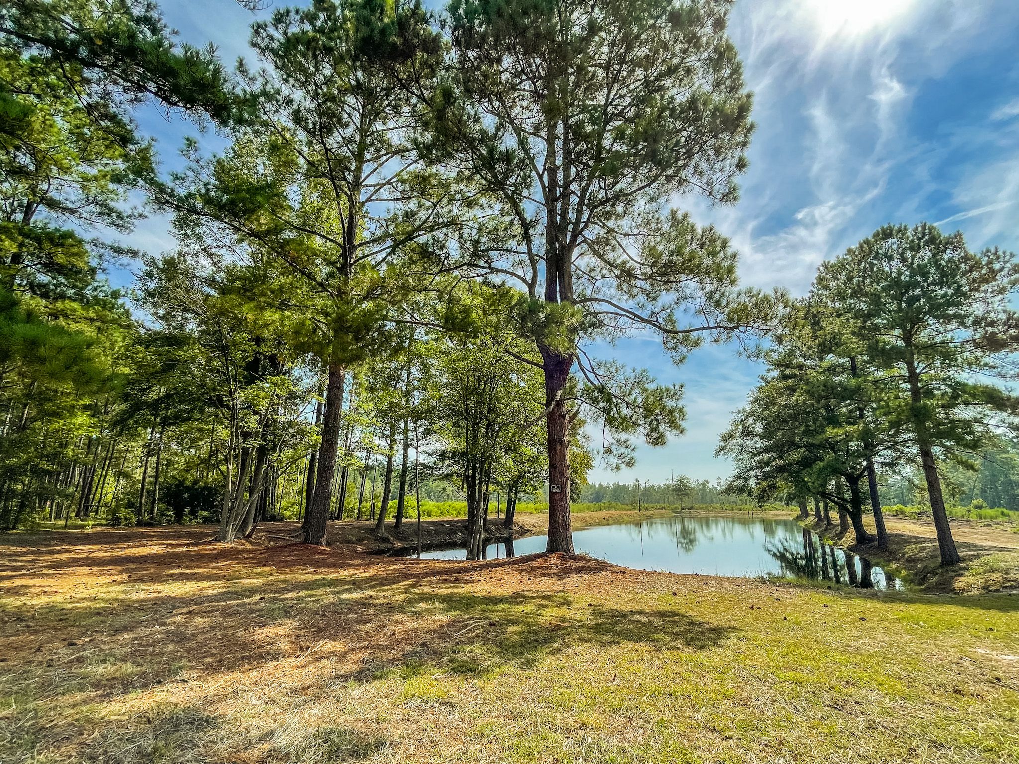 Dillon, Dillon County, SC Farms and Ranches, Recreational Property for
