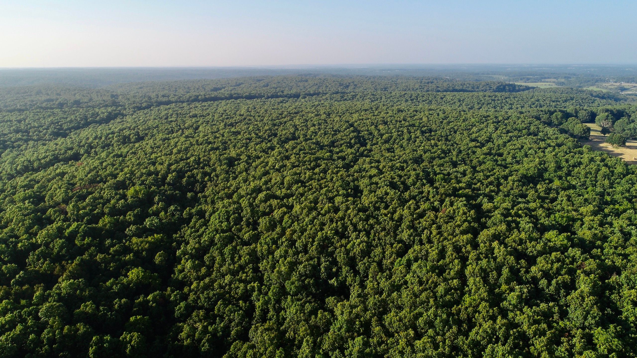 Mount Vernon, Lawrence County, MO Recreational Property, Timberland