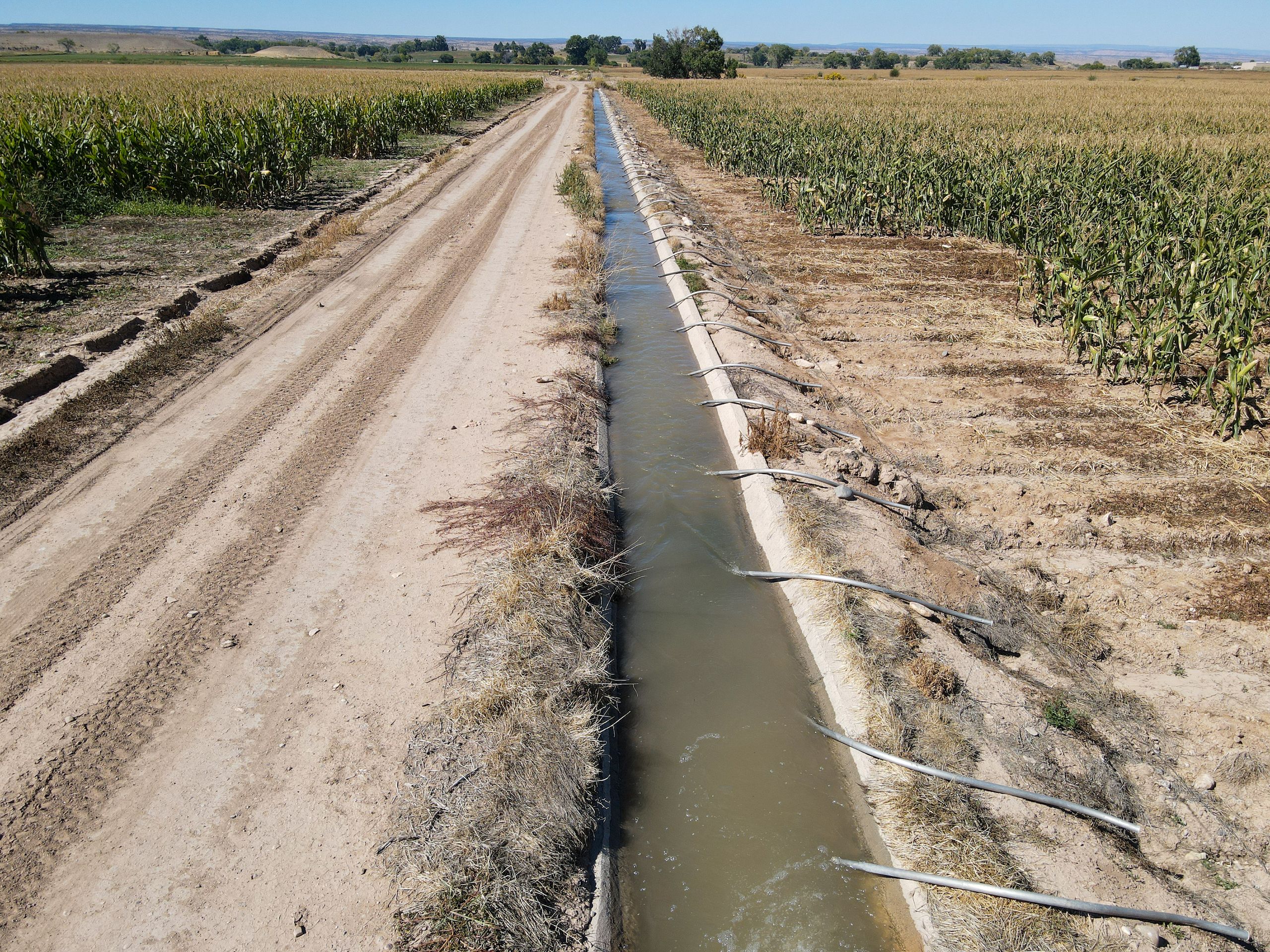 Olathe, Montrose County, CO Farms and Ranches for sale Property ID