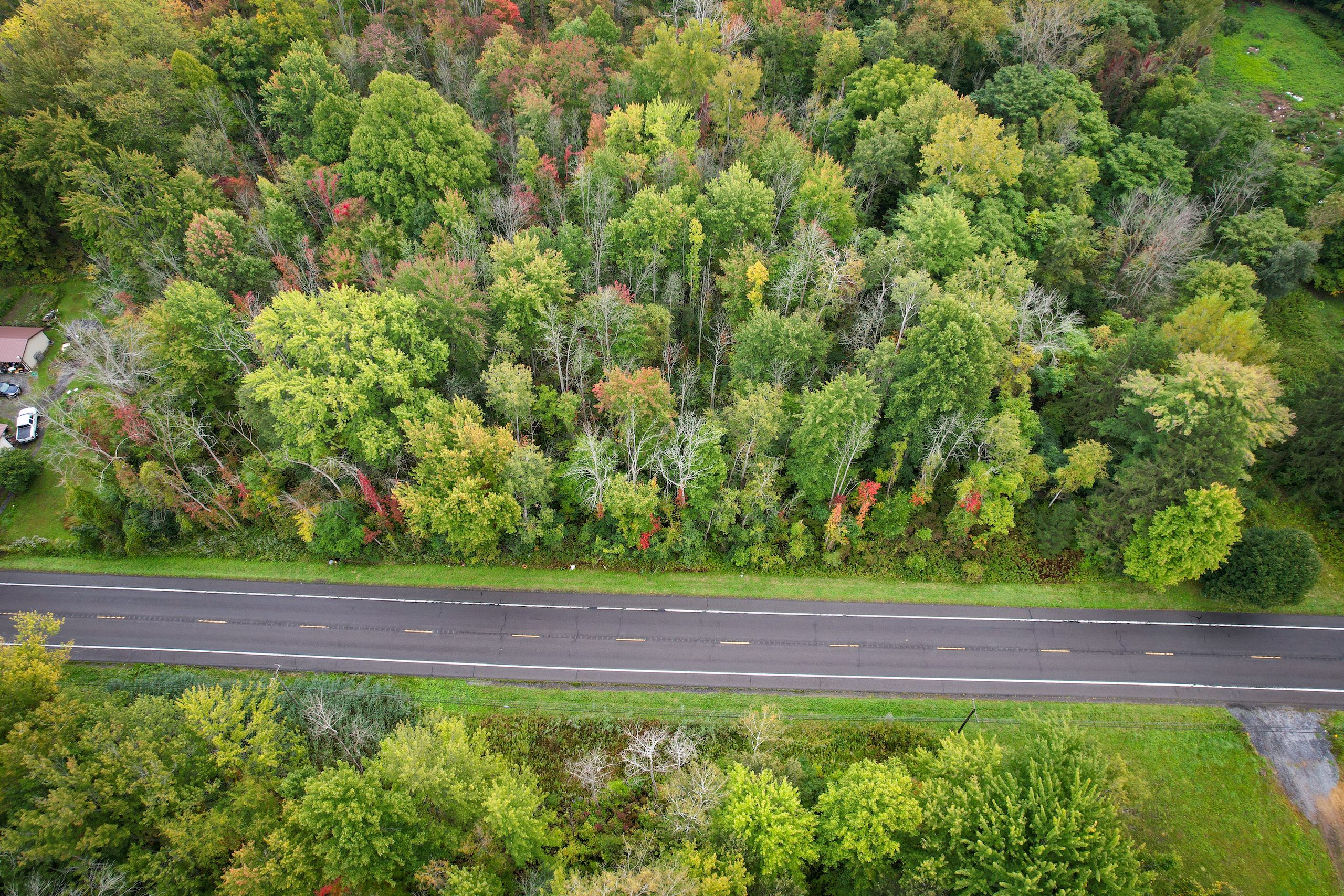 Tin Can Alley, LotWP001, Phelps, NY 14532 MLS 11208311 LandWatch