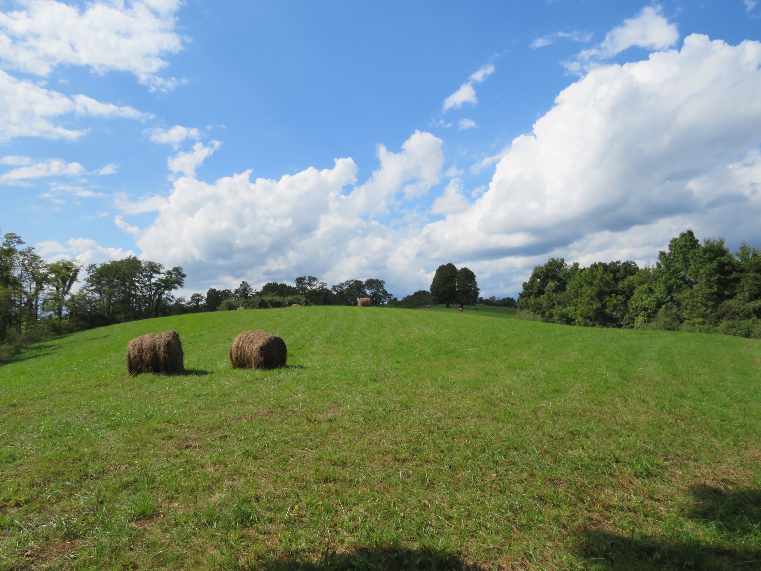 Bogal Ridge Road, Lot WP001, Mineral Wells, WV 26150 LandWatch