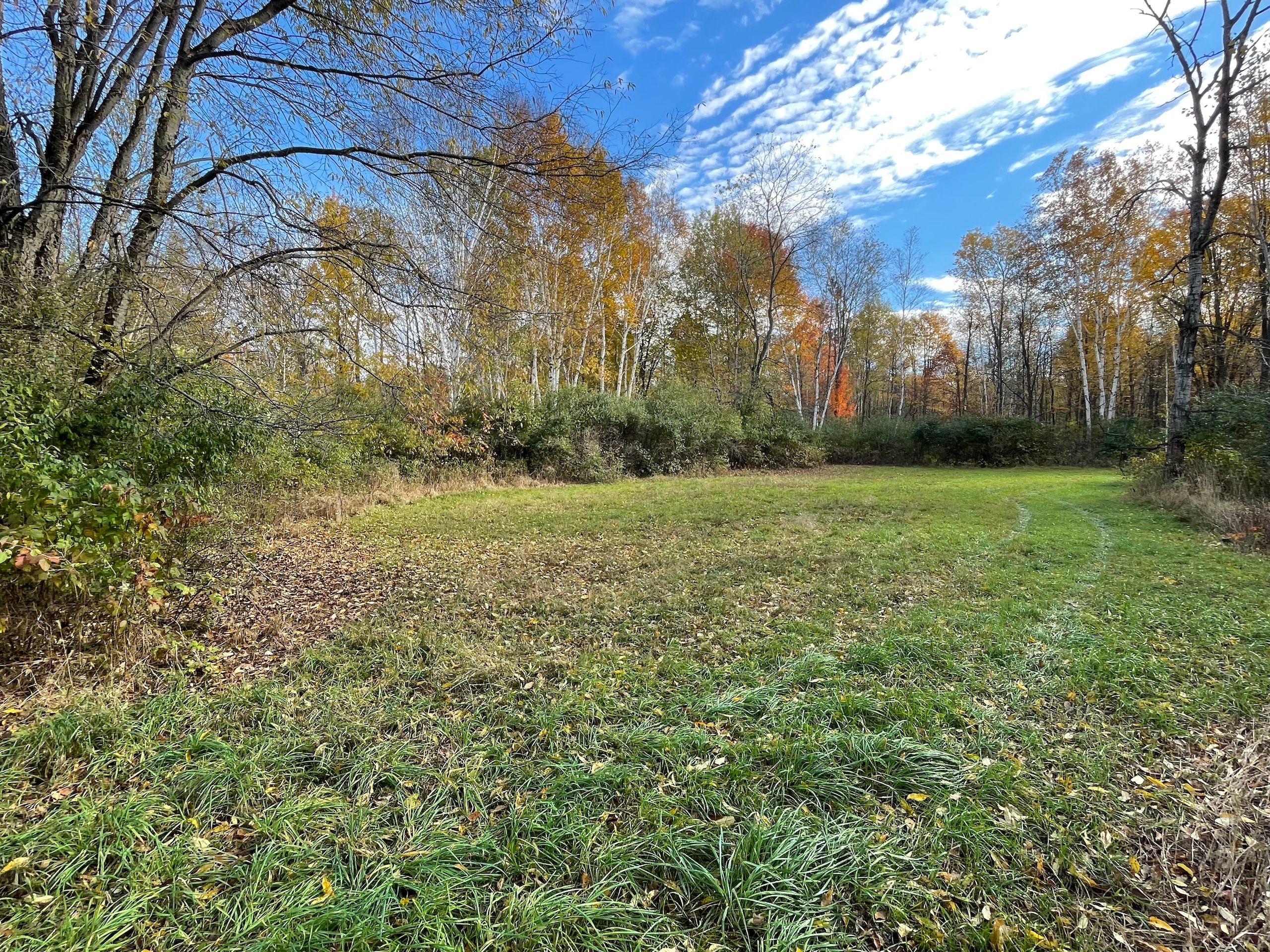 Deford, Tuscola County, MI Farms and Ranches, Recreational Property