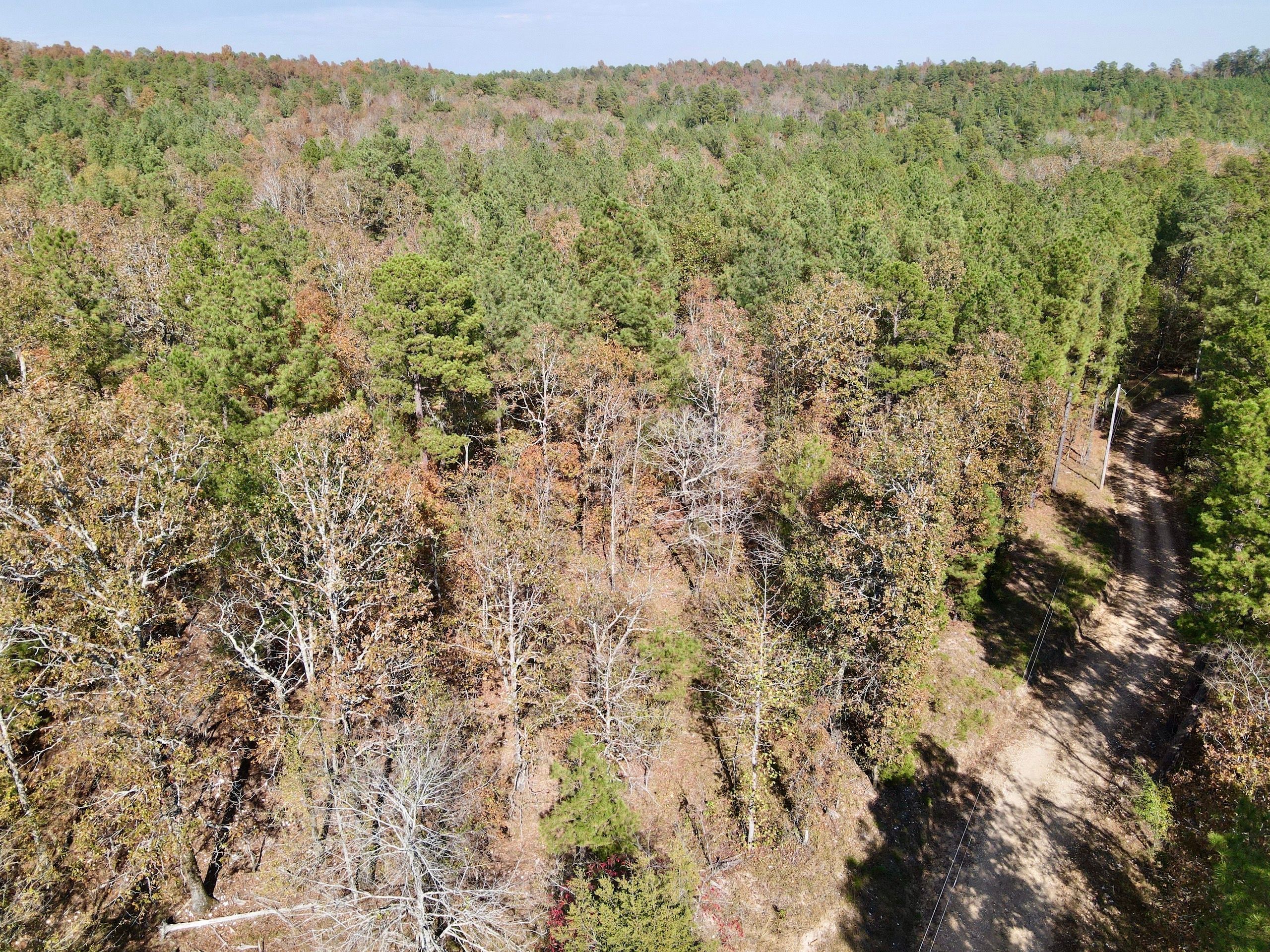 Lonsdale, Saline County, AR Recreational Property, Timberland Property