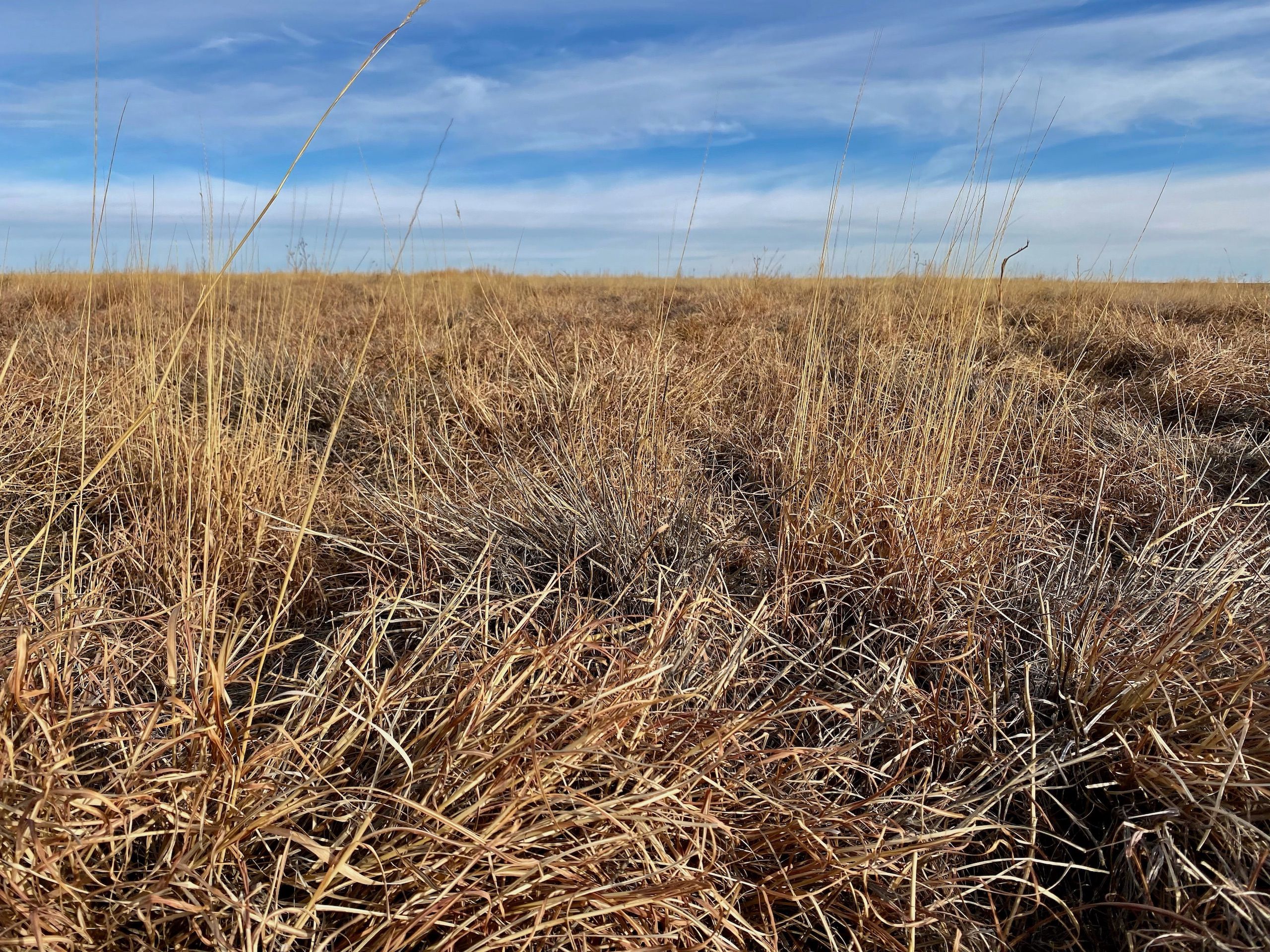 County Road 56, LotWP001, Walsh, CO 81090 LandWatch