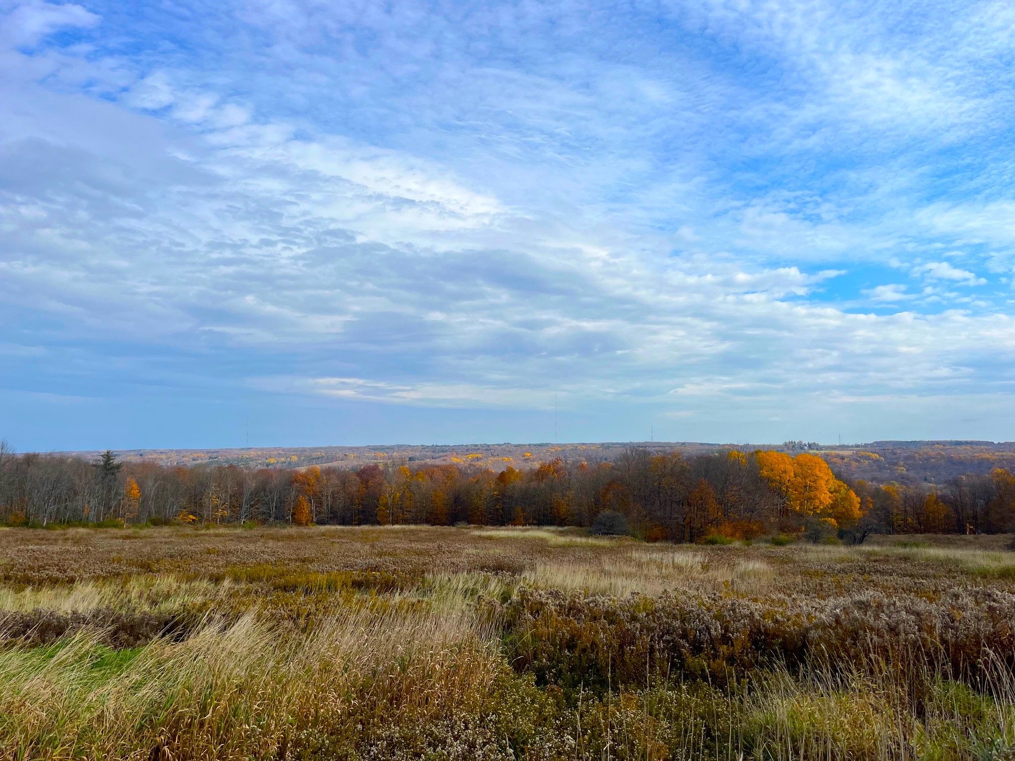 0 Lot 4, LotWP001, Colden, NY 14025 MLS 11221323 LandWatch