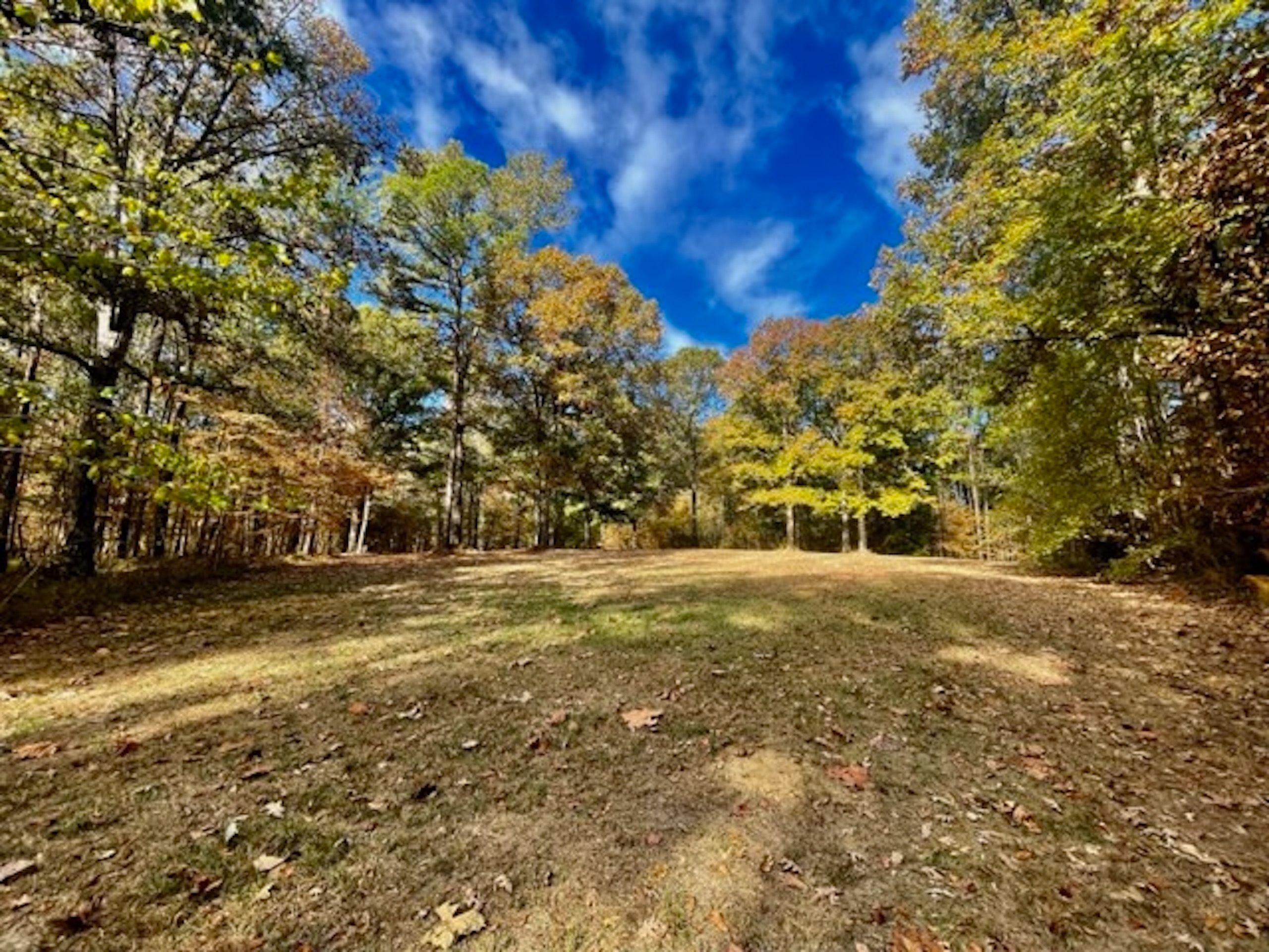 Roxie, Franklin County, MS Farms and Ranches, Recreational Property, Timberland Property for