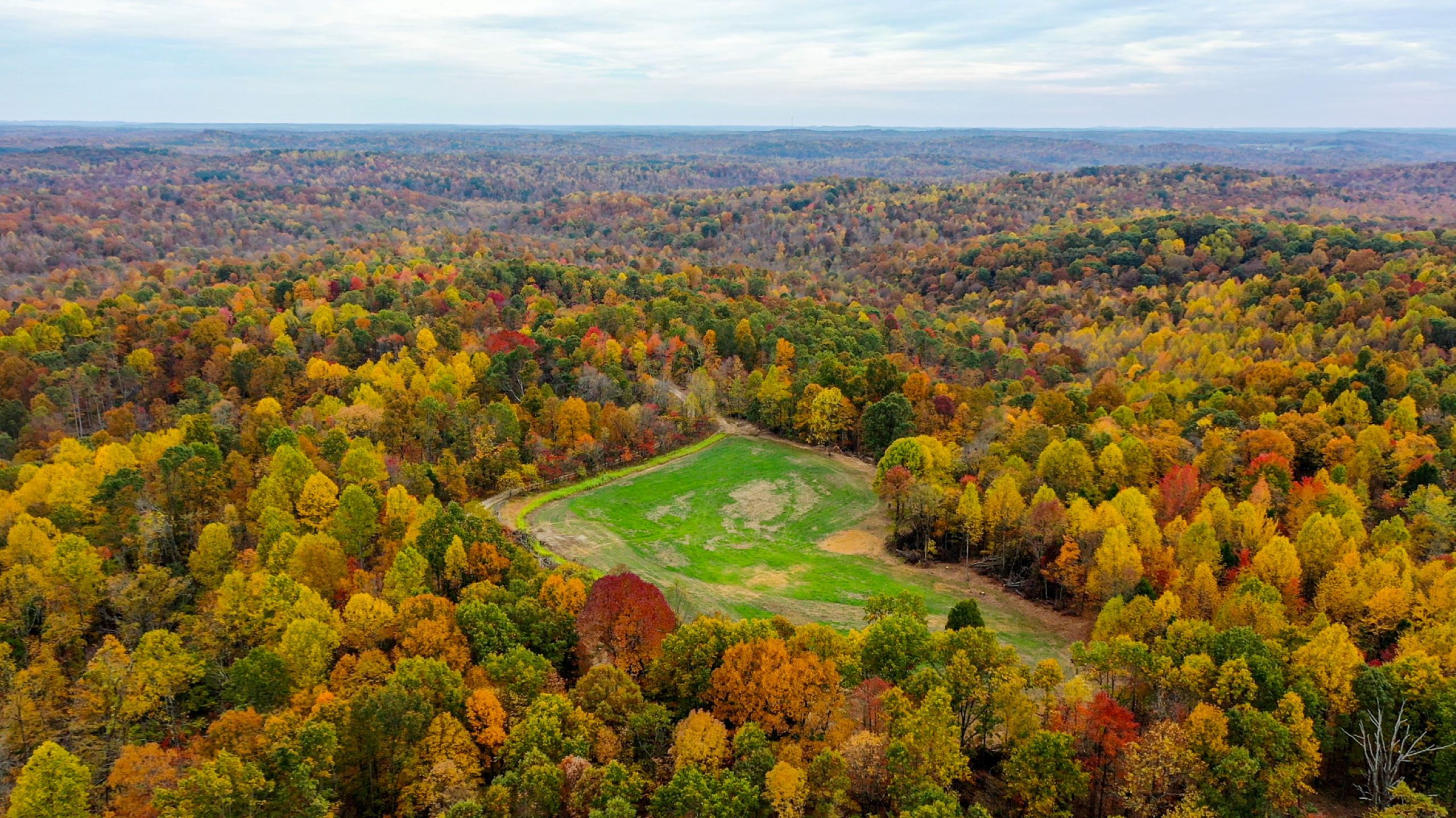 KY 1700, LotWP001, Fordsville, KY 42343 LandWatch