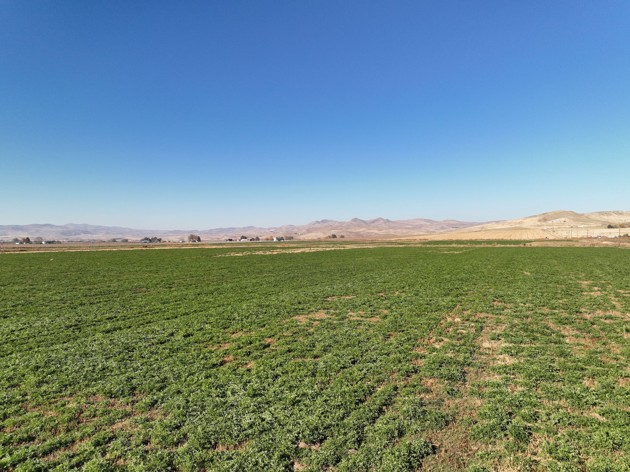 TBD Indianhead Road, Weiser, ID 83672 MLS 98894431 LandWatch