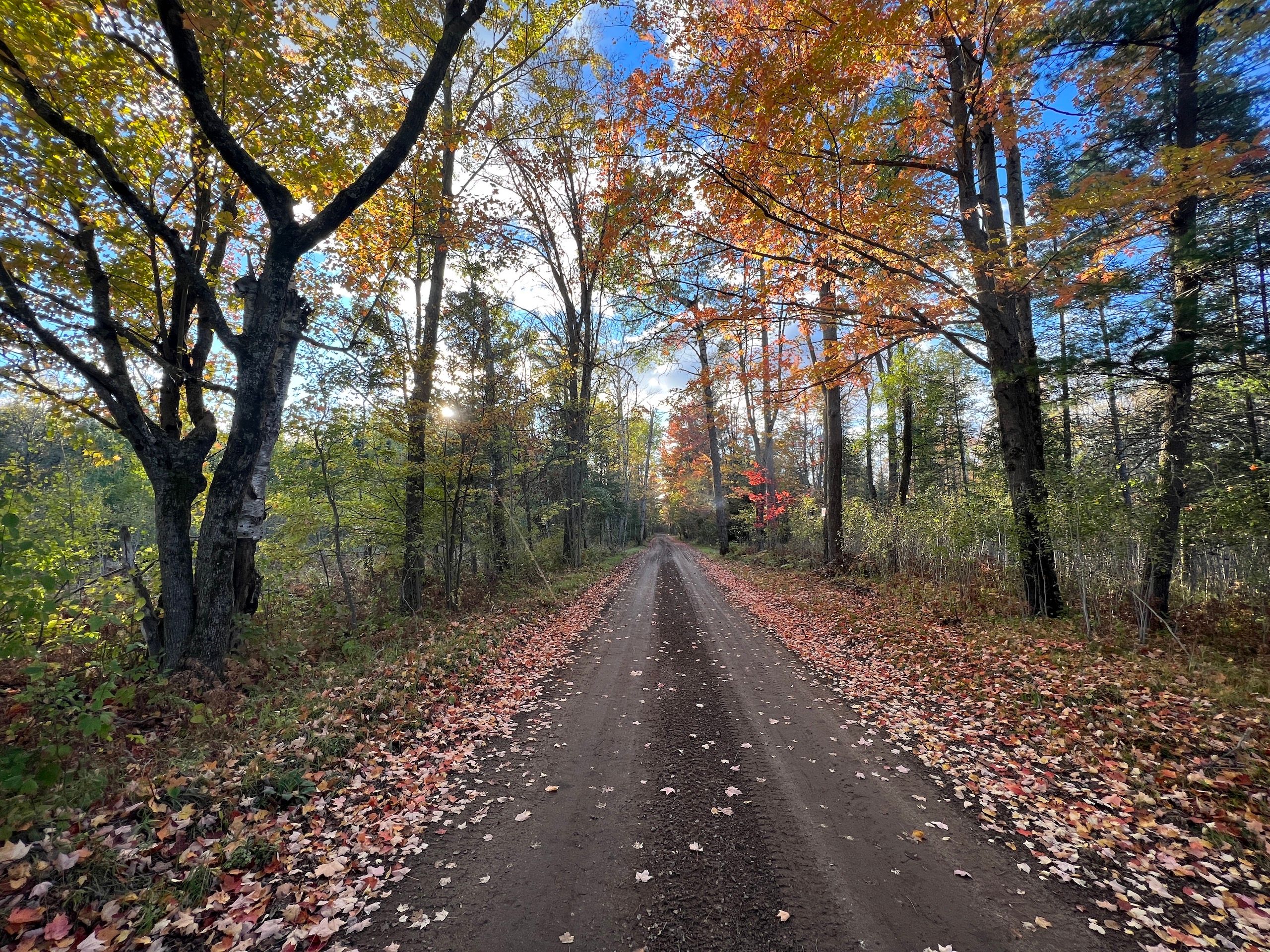 Crawford County, MI Timberland Property, Hunting Property