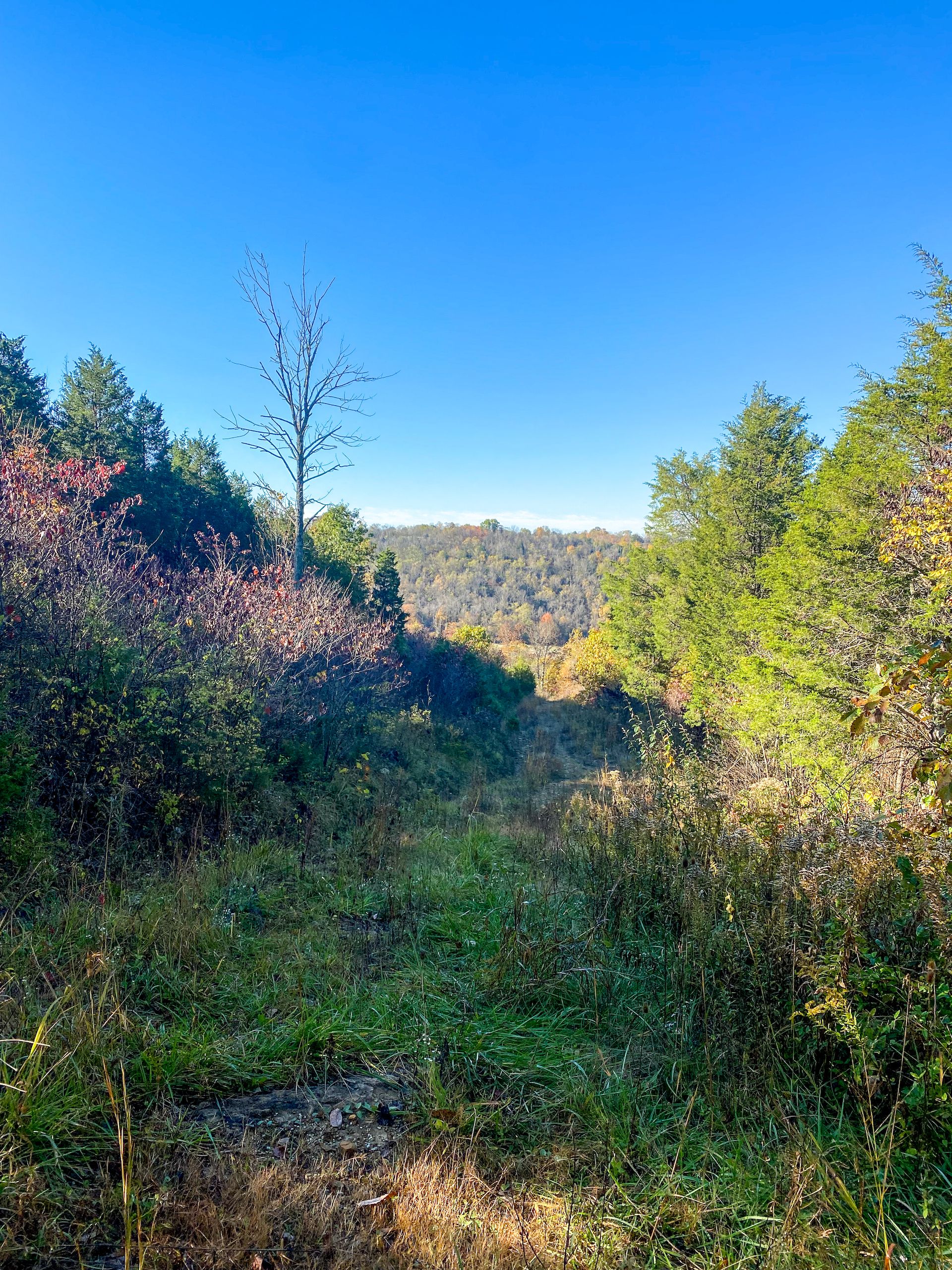 Vanceburg, Lewis County, KY Farms and Ranches, Recreational Property