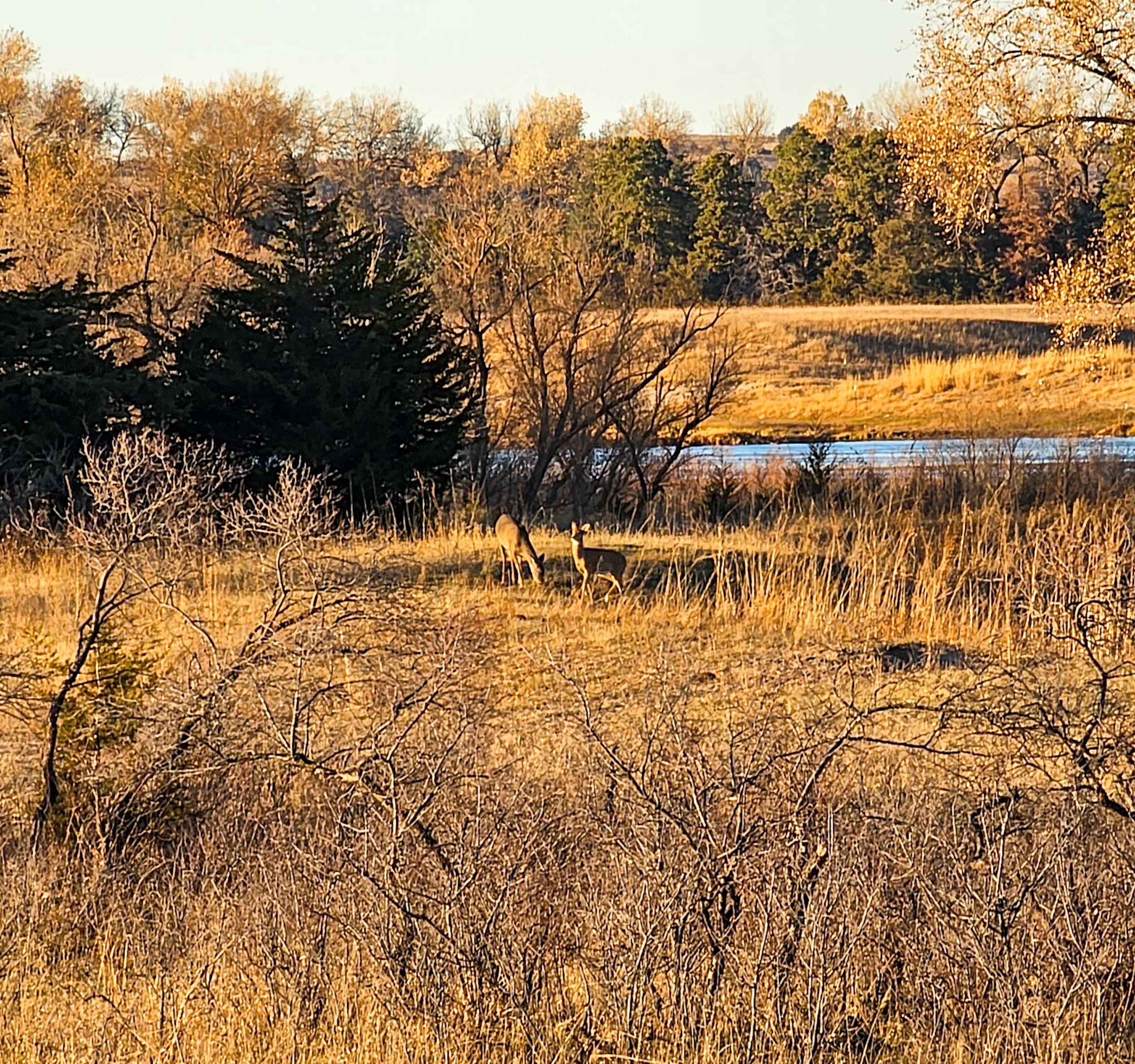 Sargent River Road, LotWP001, Sargent, NE 68874 MLS 00746401