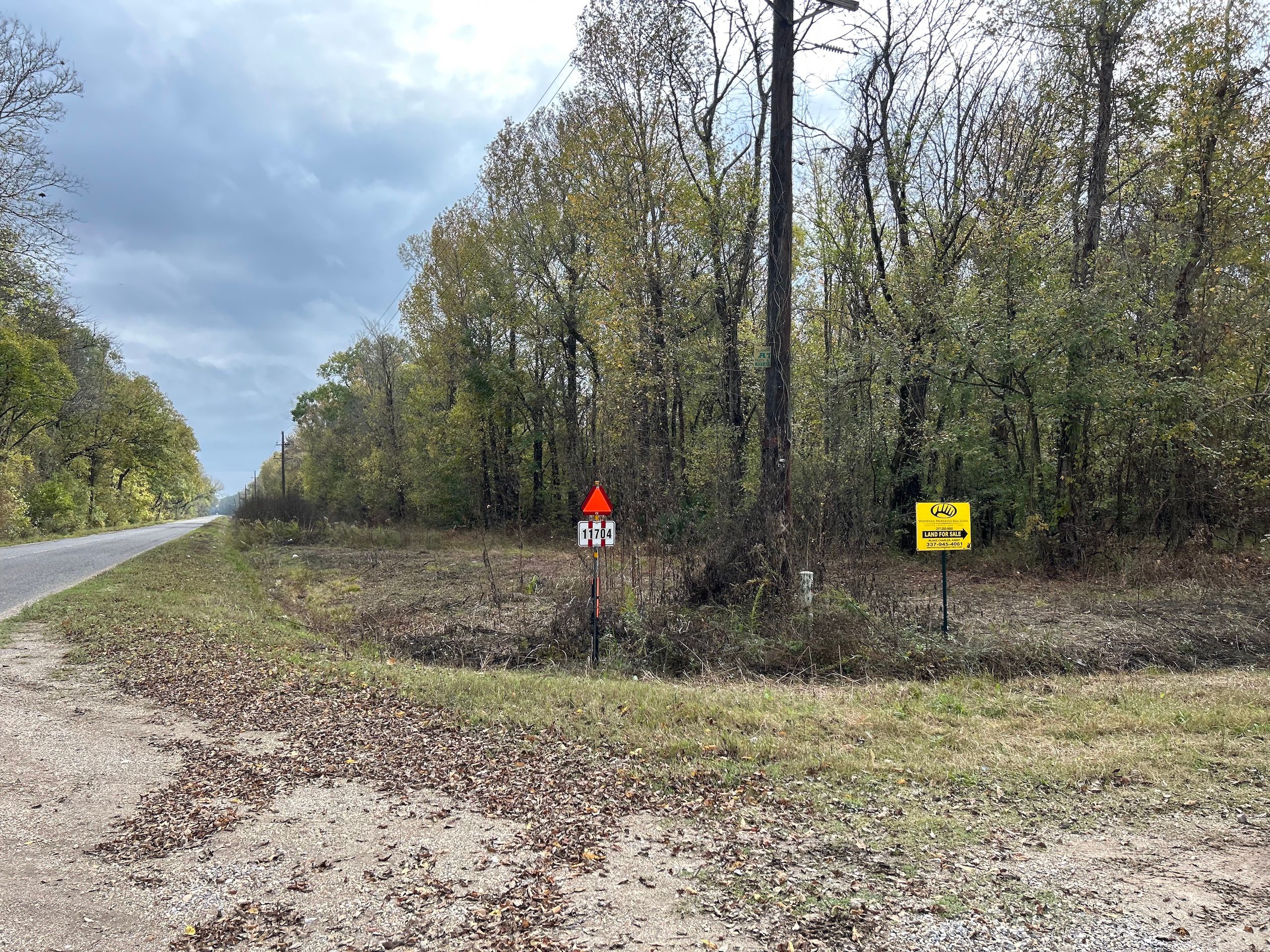 Port Barre, Saint Landry Parish, LA Recreational Property, Timberland