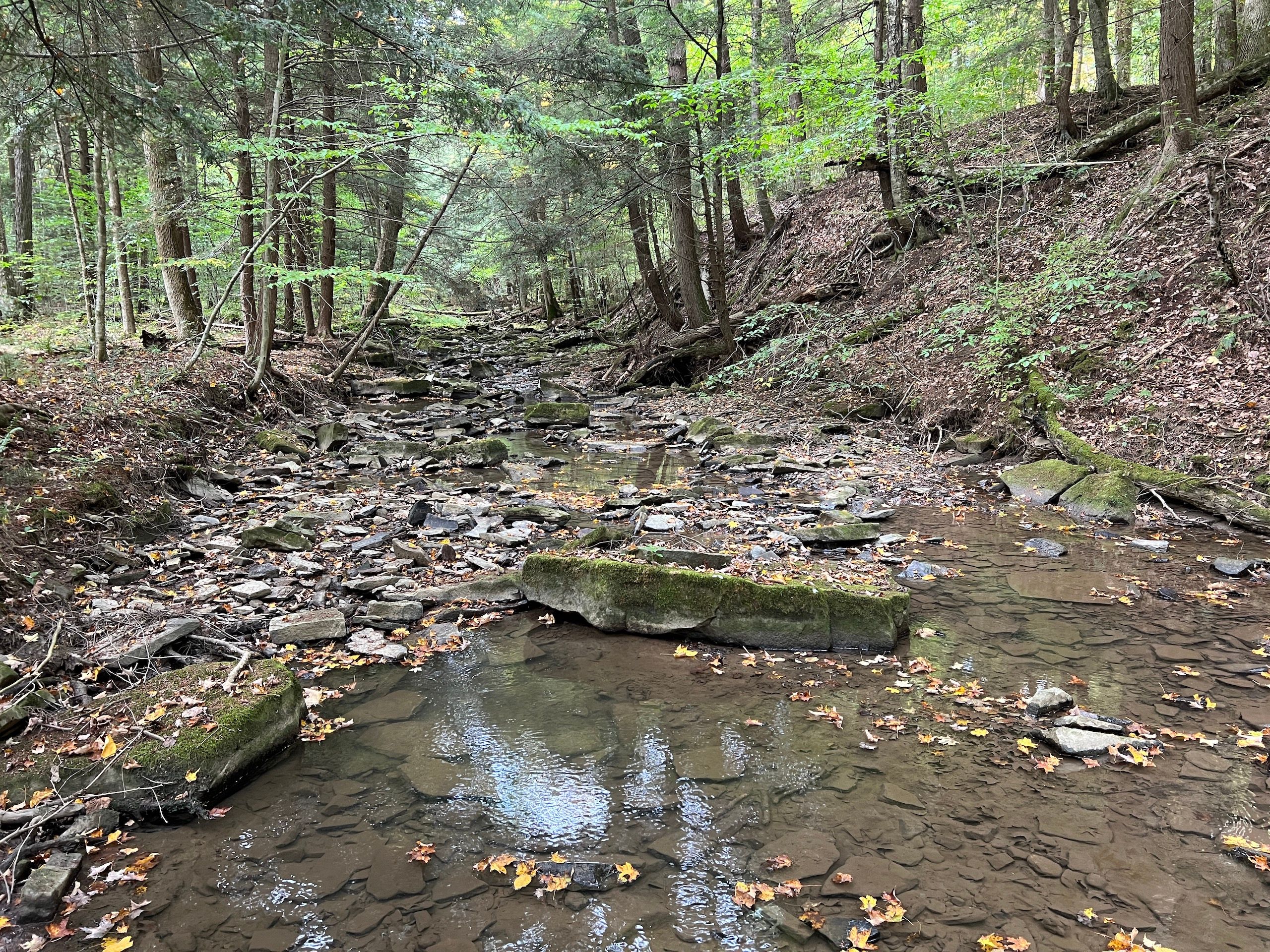 00 Peterson Hollow Rd, Warren, PA 16345 LandWatch