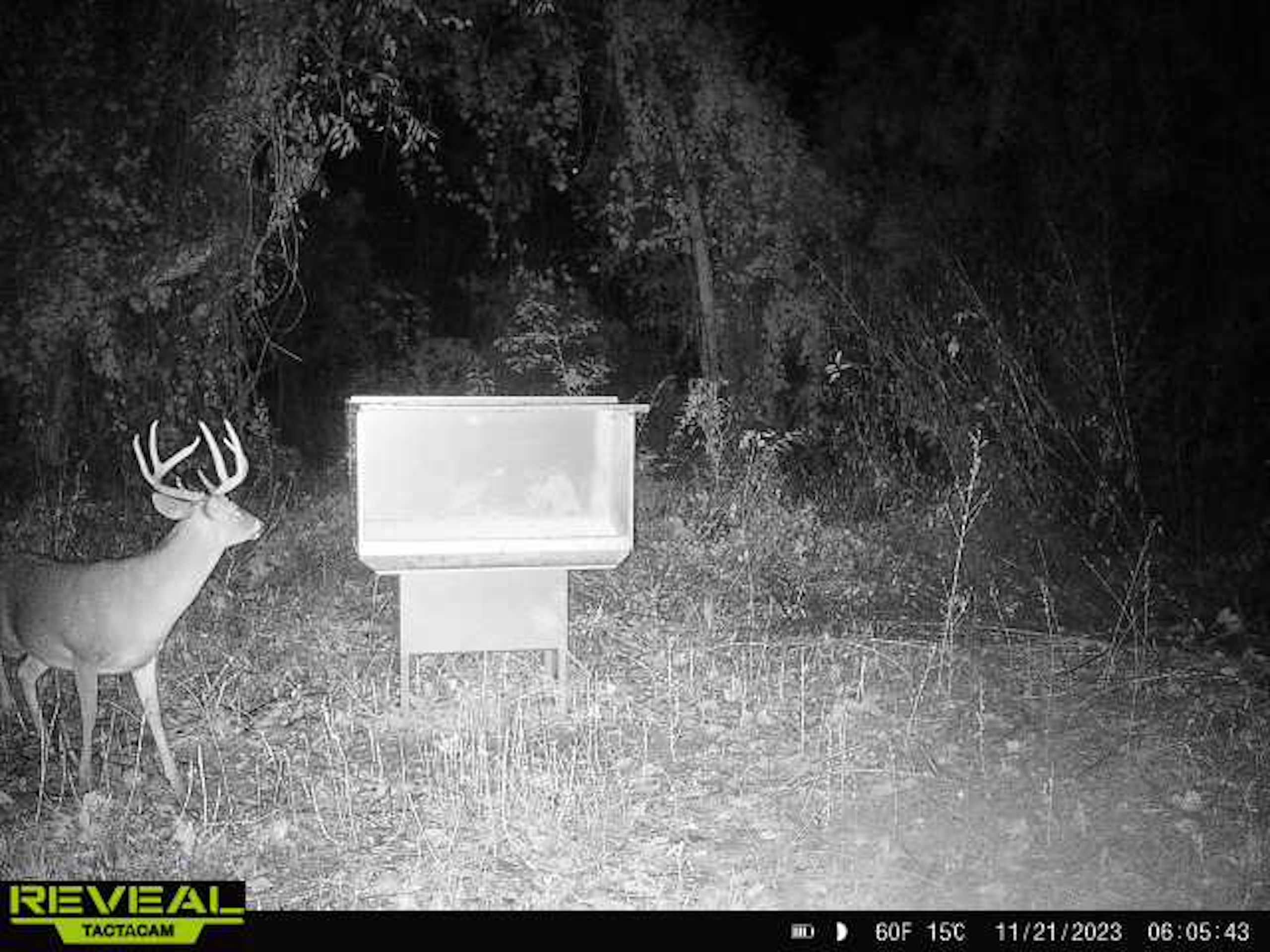 Hwy. 15, LotWP001, Vidalia, LA 71373 LandWatch