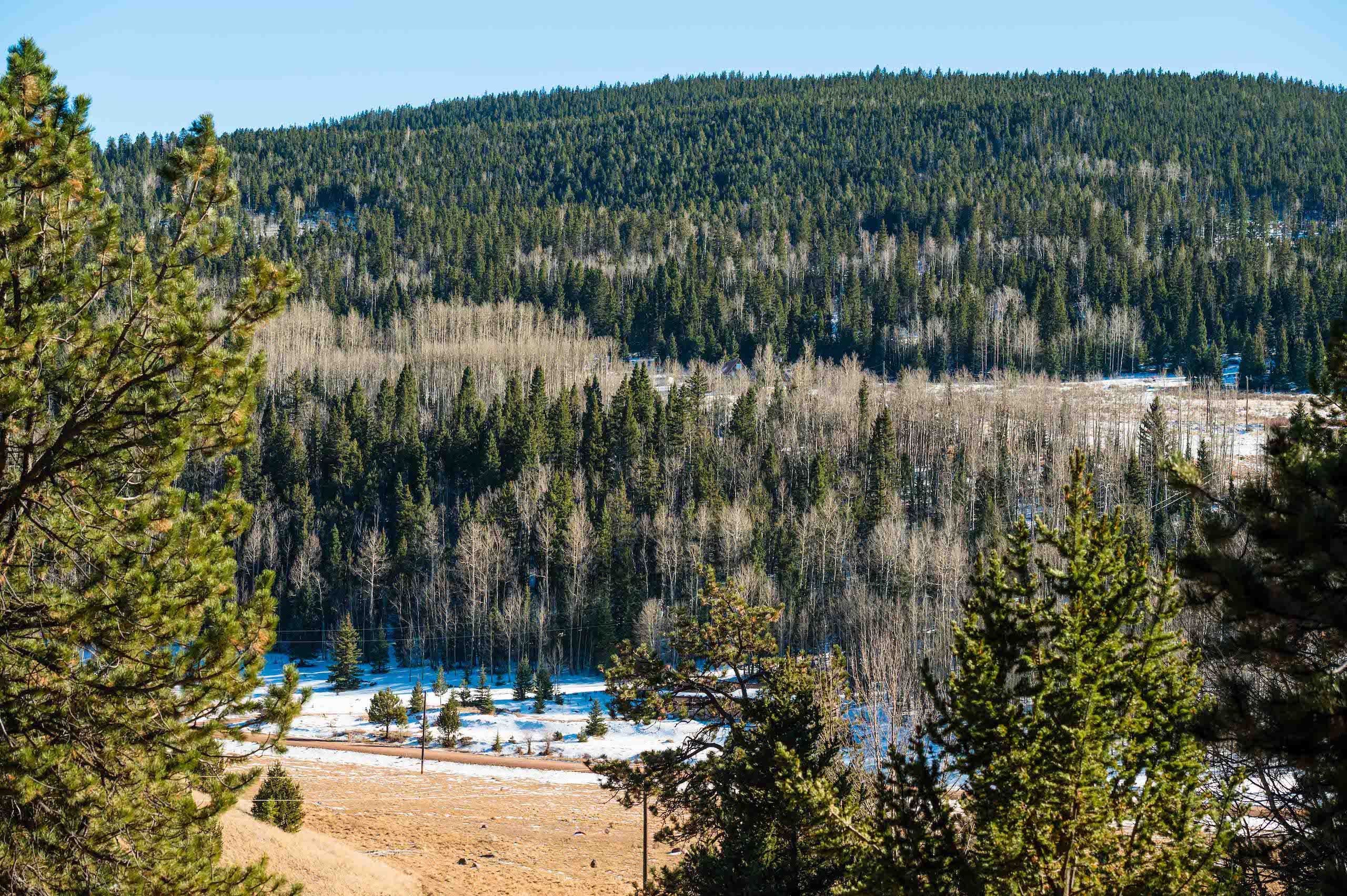 2055 Yorktown Rd, Cripple Creek, CO 80813 MLS 7709877 LandWatch