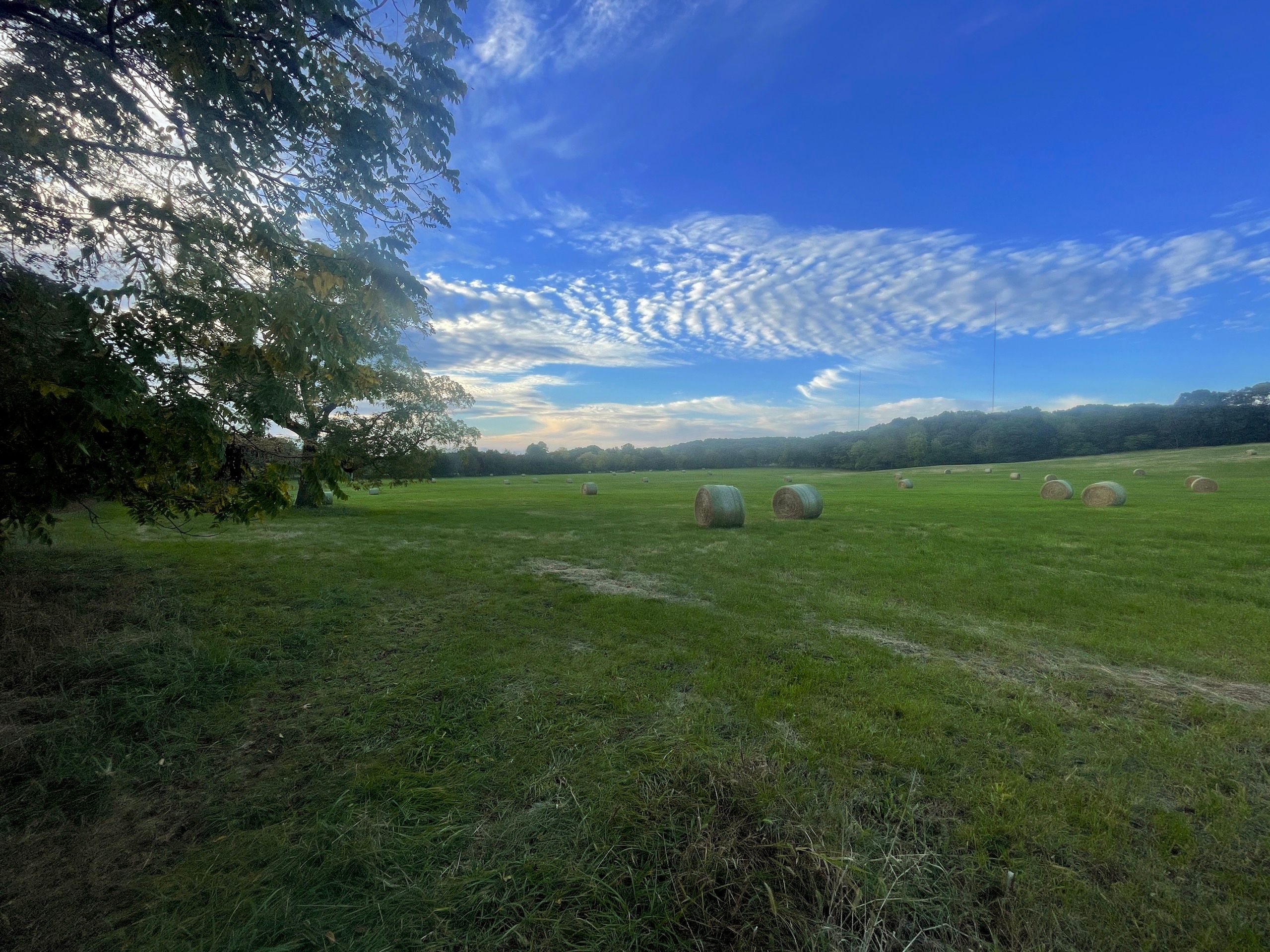 Fordland, ster County, MO Horse Property, Homesites for sale