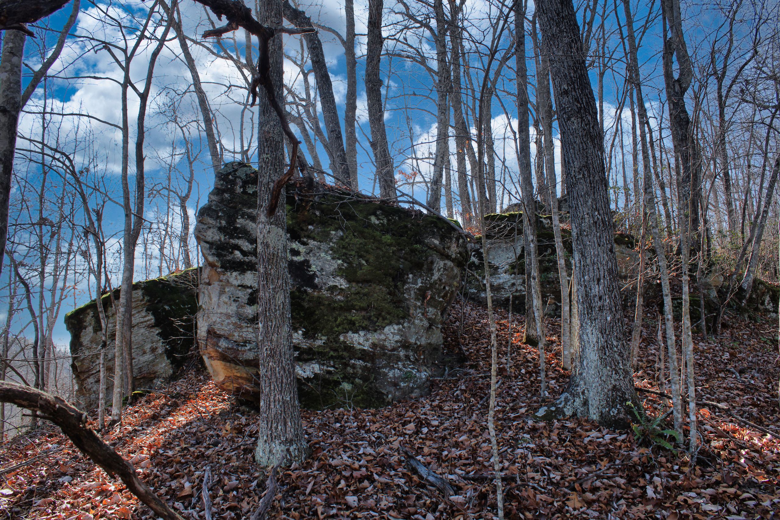 Bear Branch Rd. Lot Wp0001, West Liberty, KY 41472 LandWatch