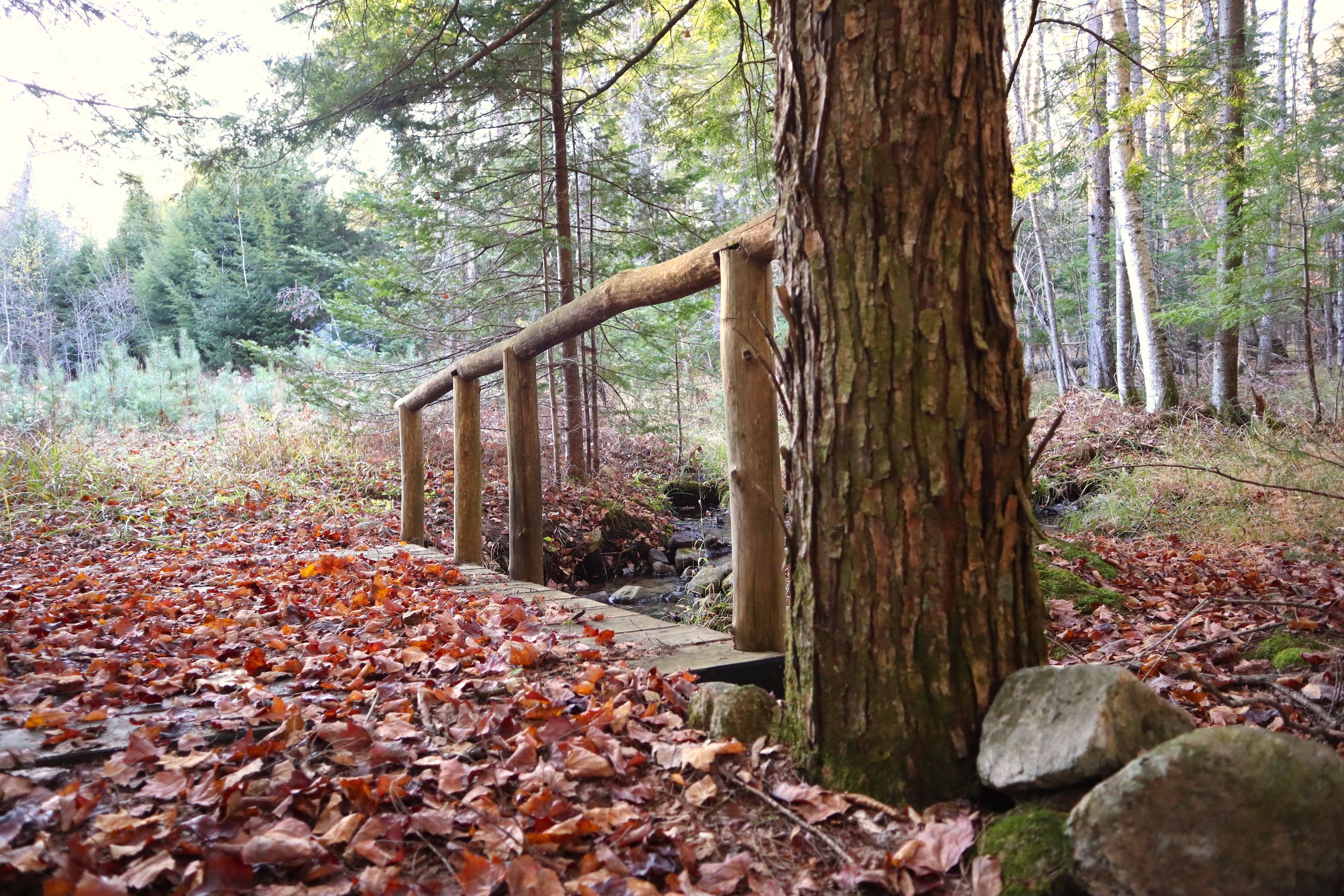 Stony Creek, Warren County, NY Recreational Property, Timberland