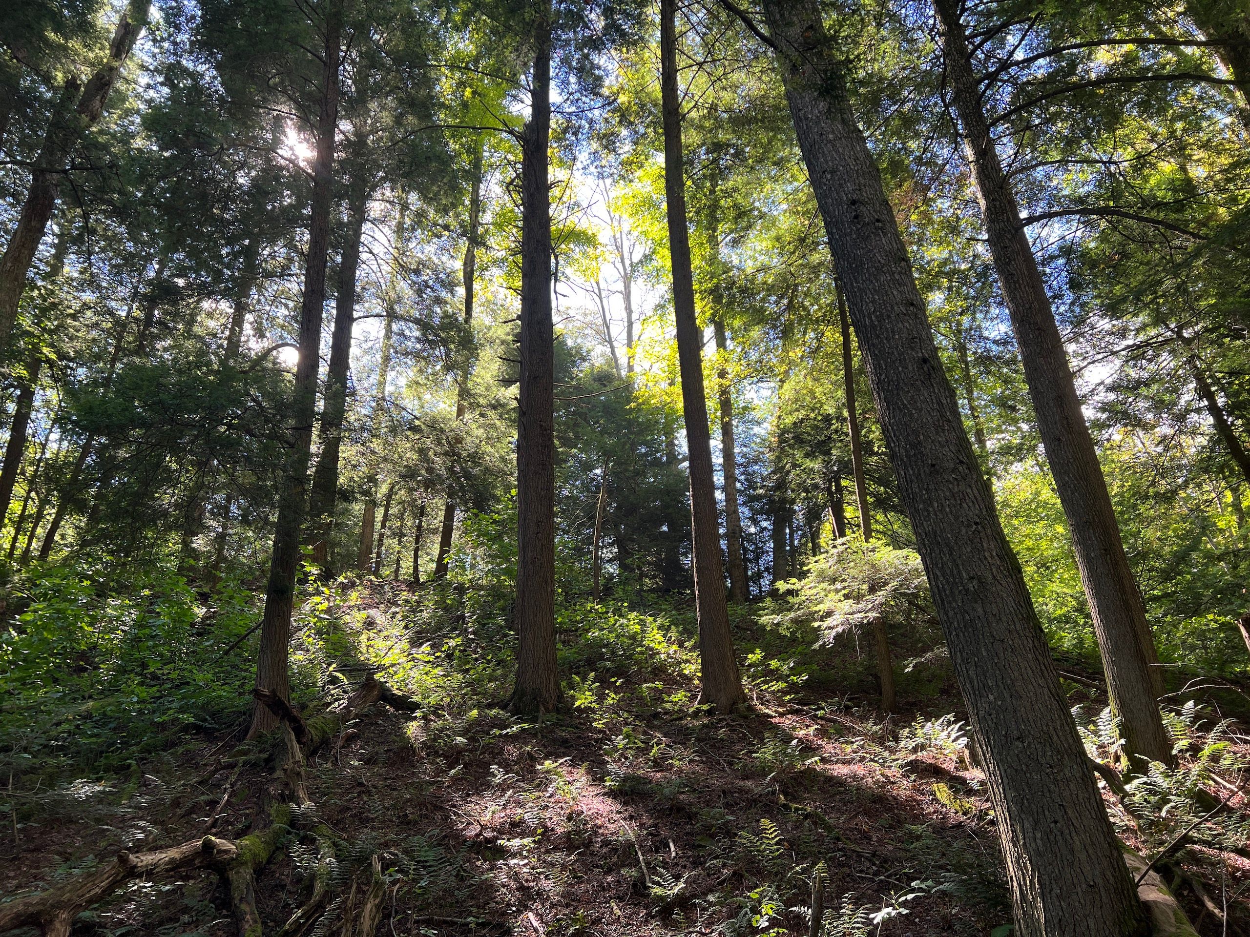 Waterford, Erie County, PA Recreational Property, Timberland Property