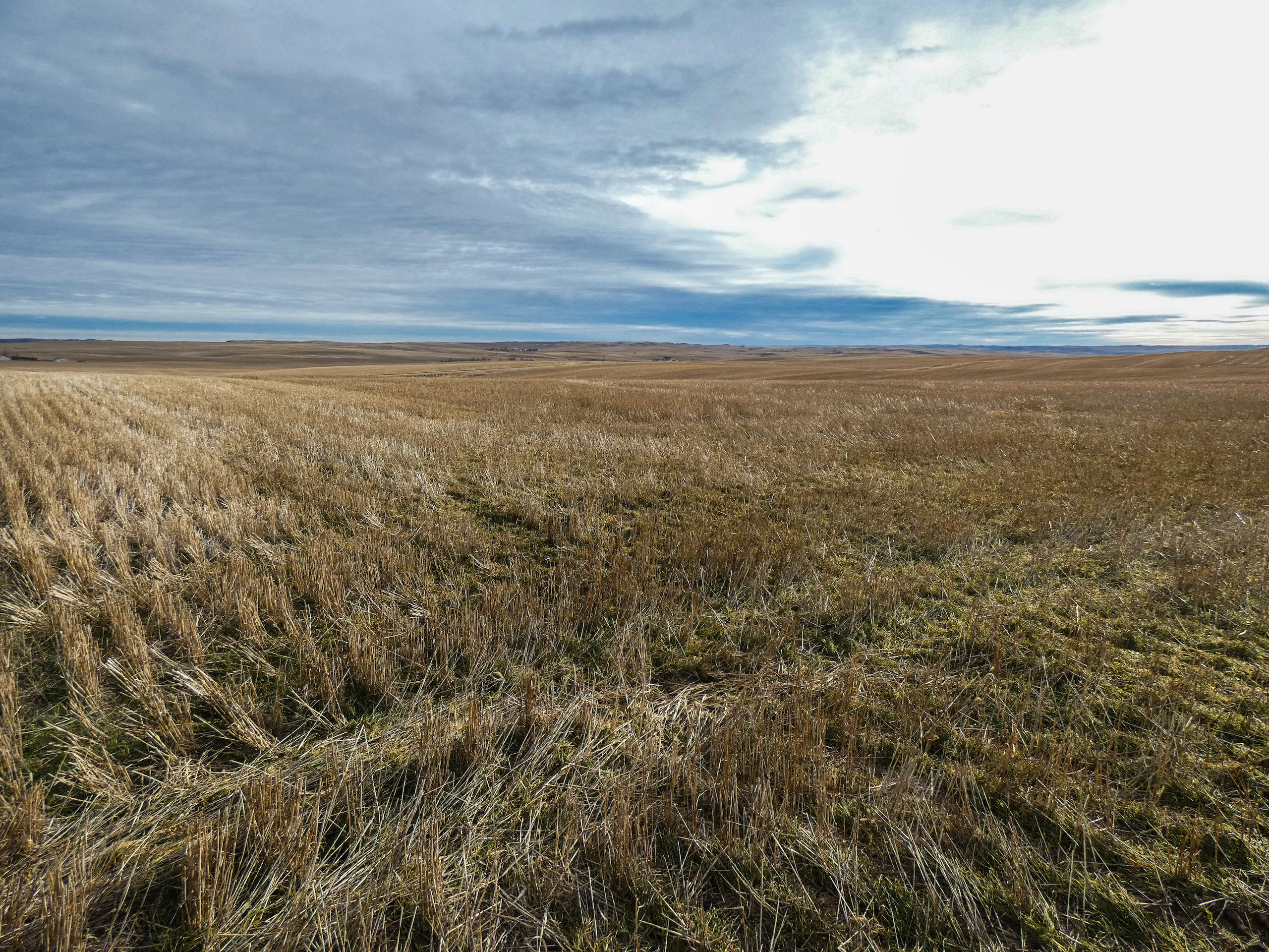 NHN 17 2054 County Road, LotWP001, Culbertson, MT 59218 MLS 343506