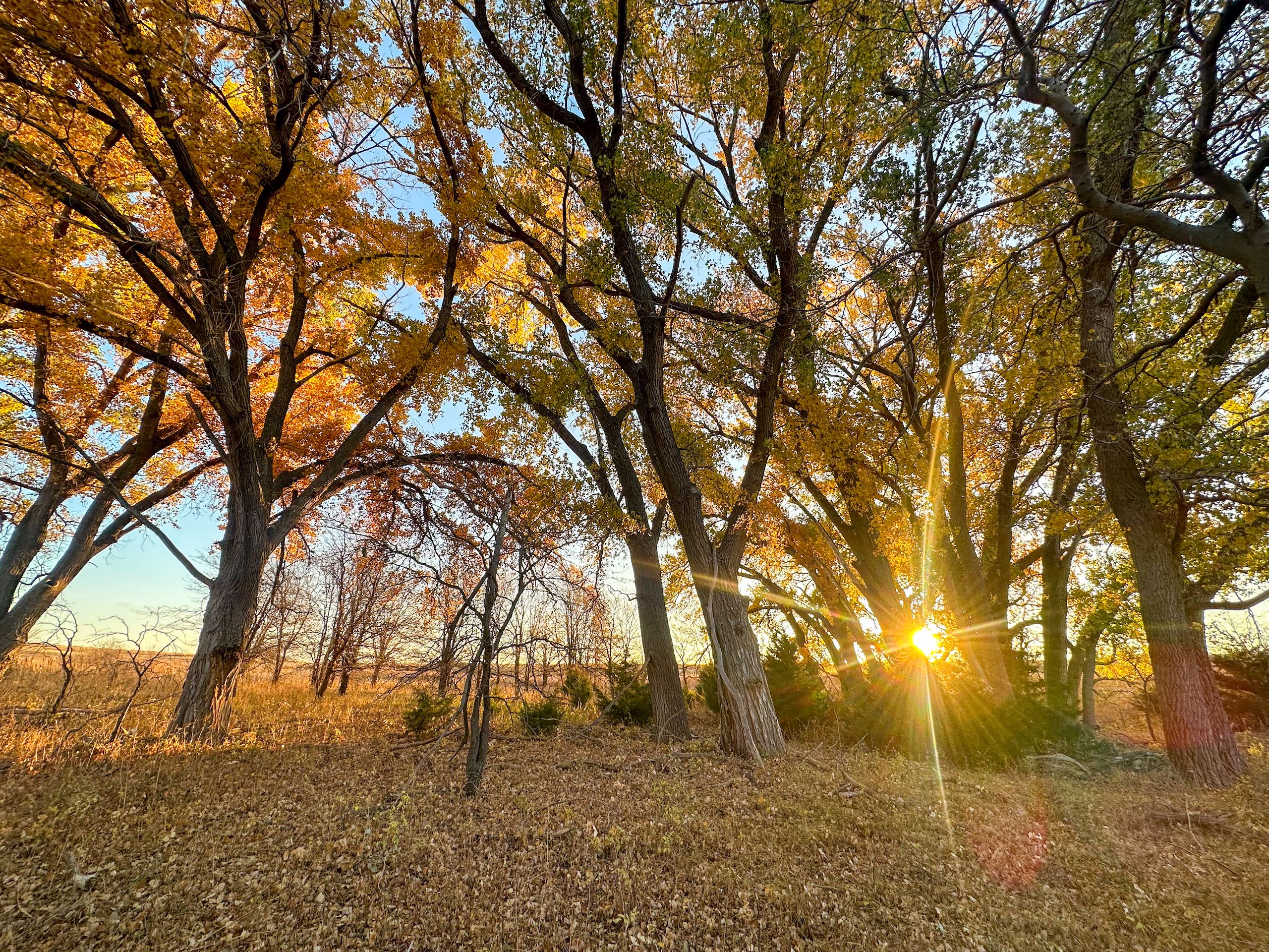 Hill City, Graham County, KS Farms and Ranches, Recreational Property