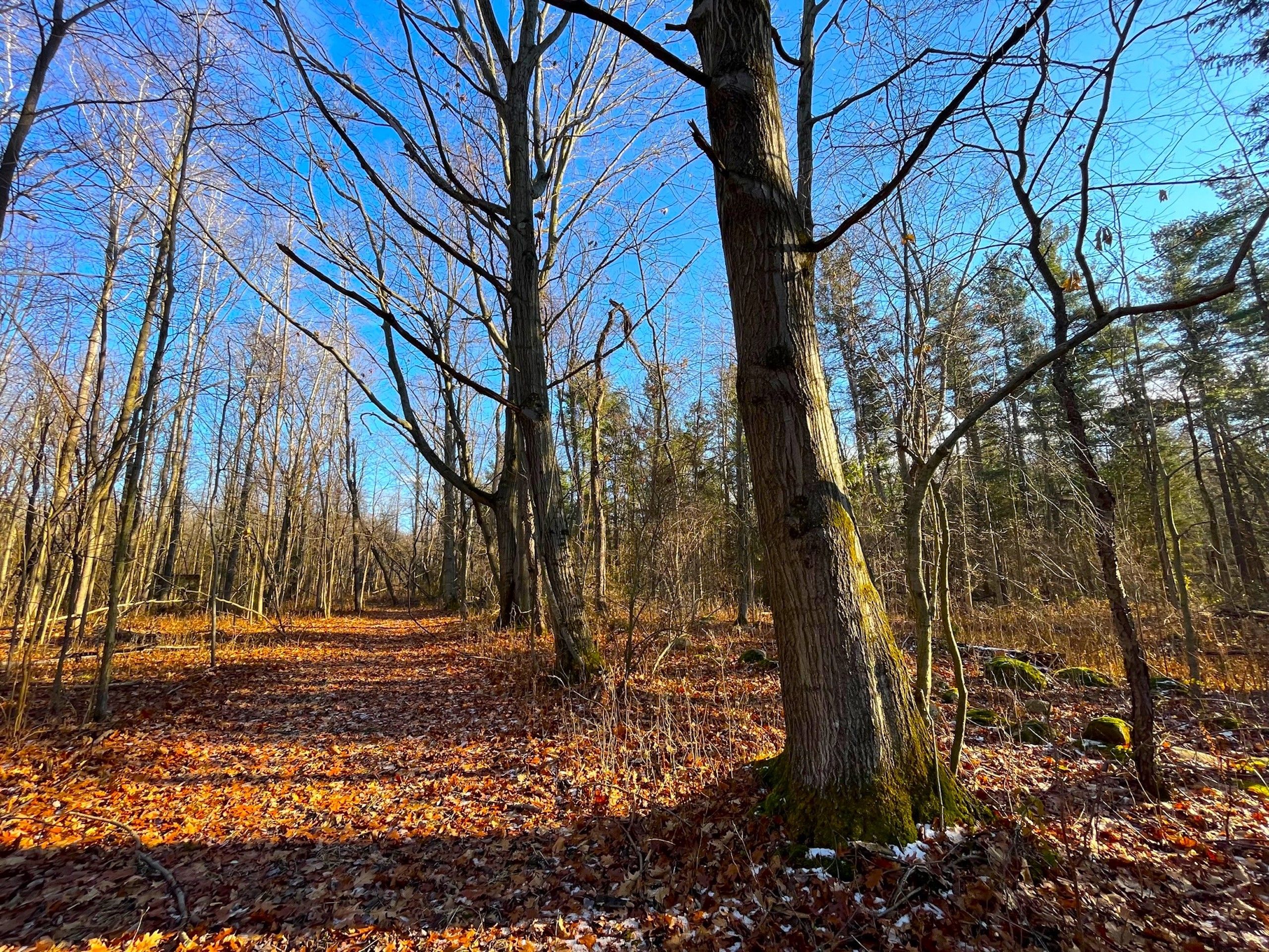 VL Quaker Road, LotWP001, Barker, NY 14012 MLS 11230994 LandWatch