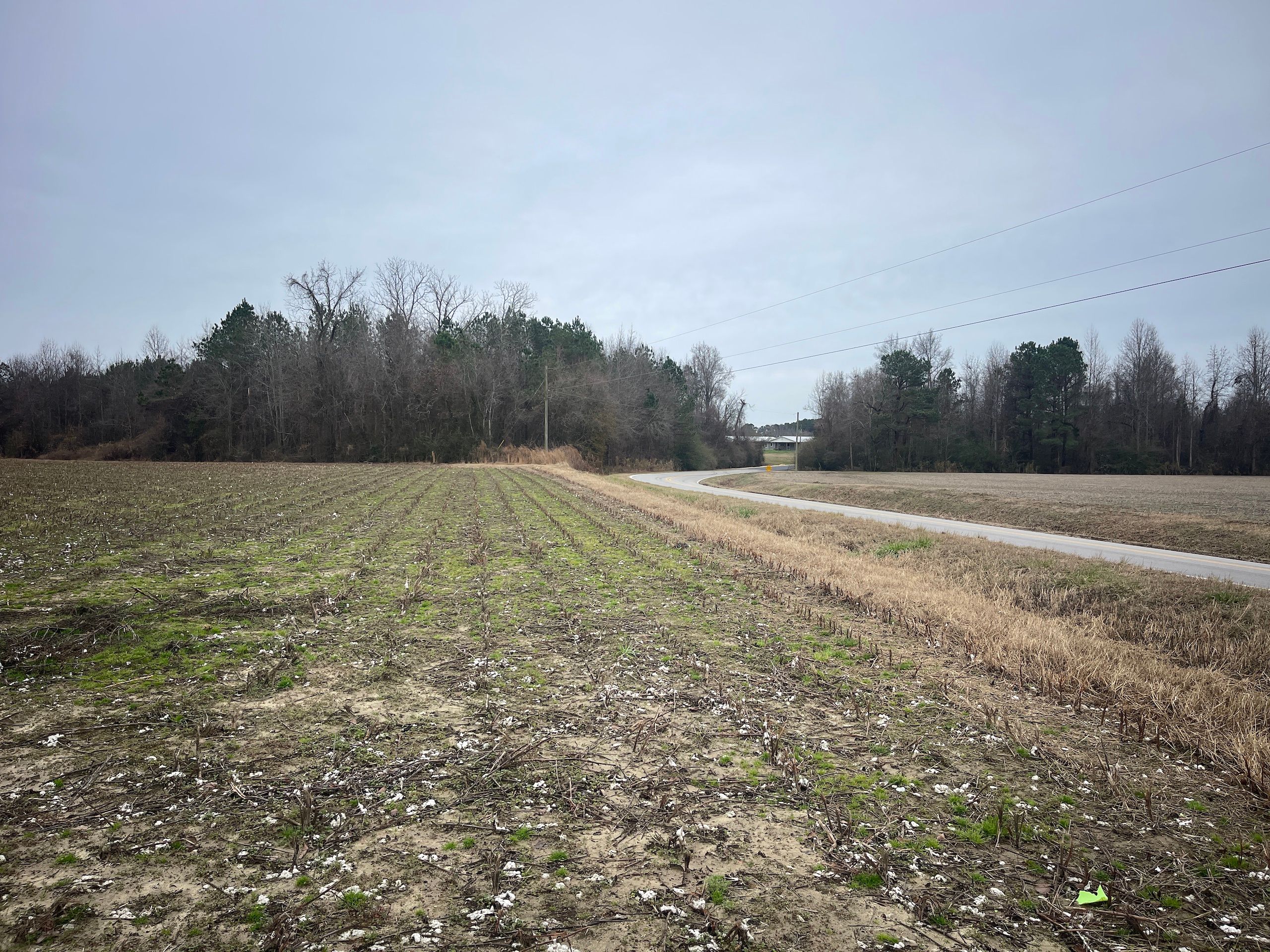 Off of Galloway Road, LotWP003, Walstonburg, NC 27888 LandWatch