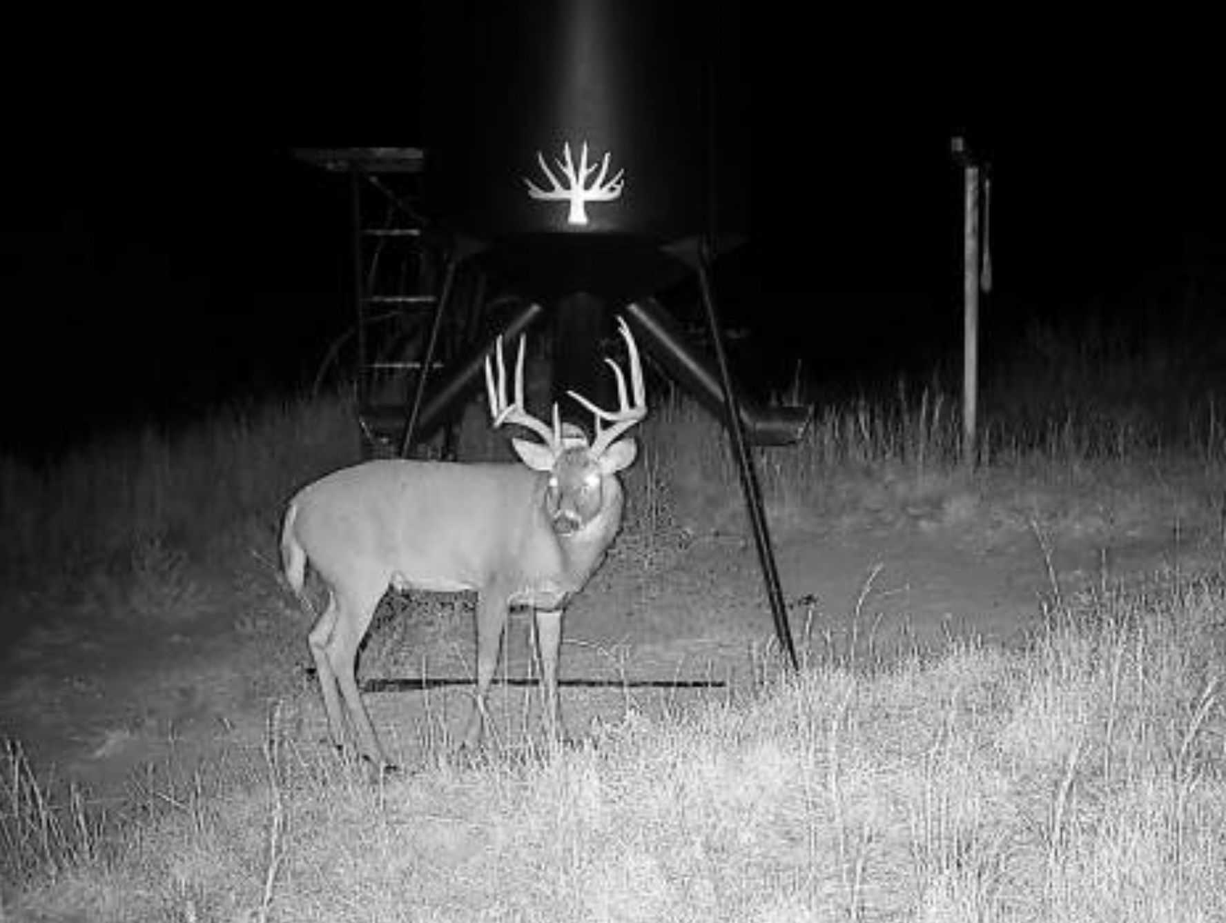 Coldwater, Comanche County, KS Farms and Ranches, Recreational Property