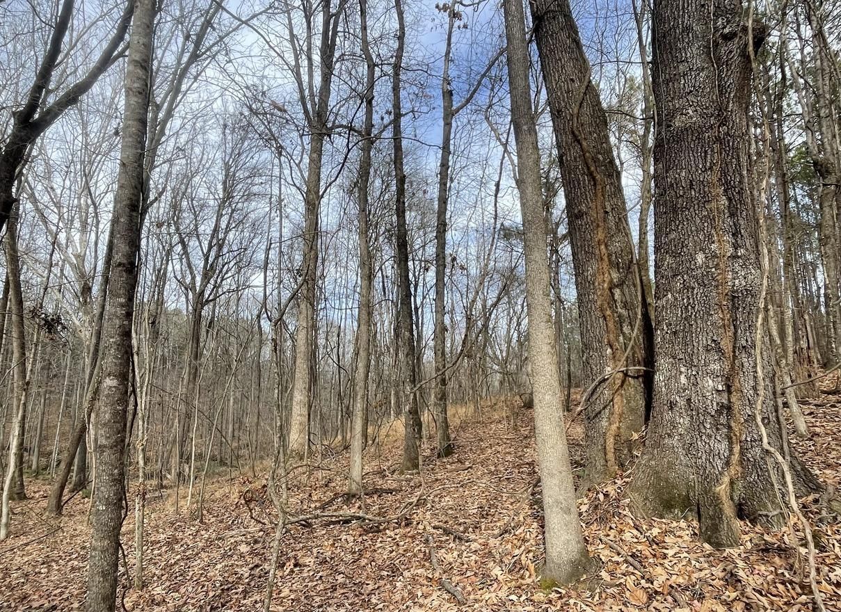 81 acres in Batesville, MS, 38606 MLS 81CDRP LandWatch