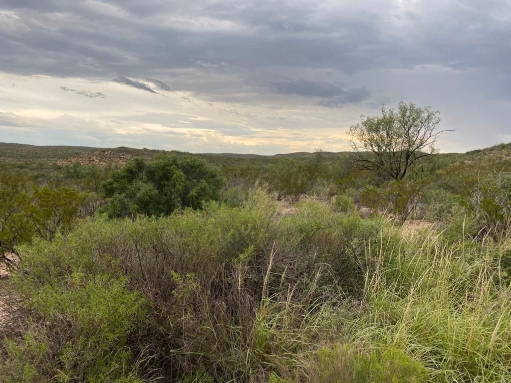 Langtry, Val Verde County, TX Farms and Ranches, Recreational Property