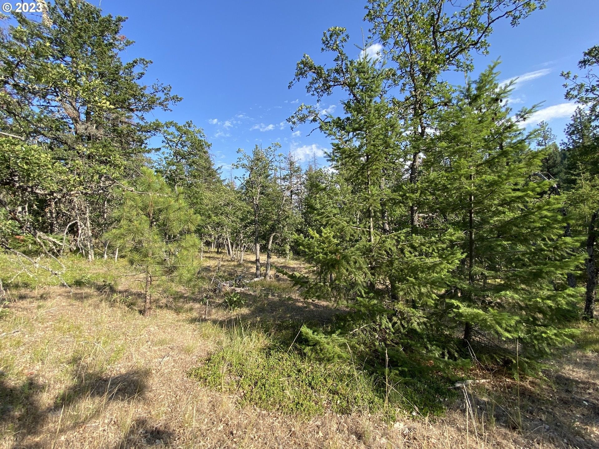 FOREST GLEN, Goldendale, WA 98620 MLS 24593007 LandWatch