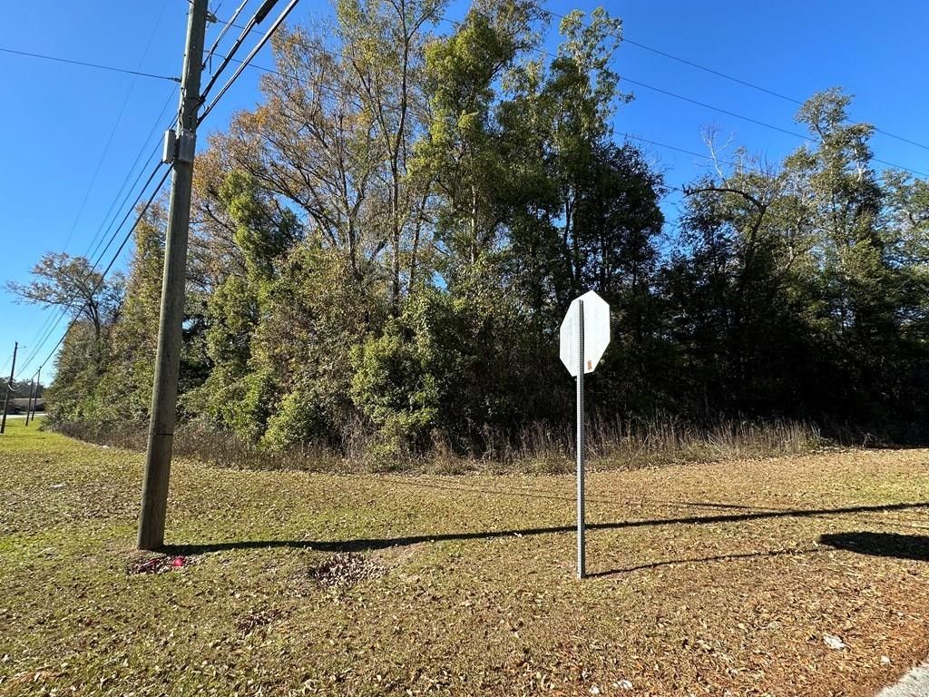 Bainbridge, Decatur County, GA Undeveloped Land, Homesites for sale