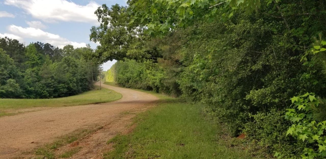 29 acres in Winnfield, LA, 71483 LandWatch