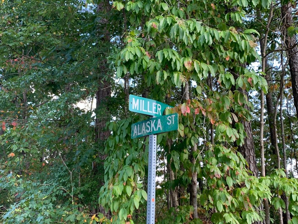 Gadsden, Etowah County, AL Undeveloped Land for sale Property ID